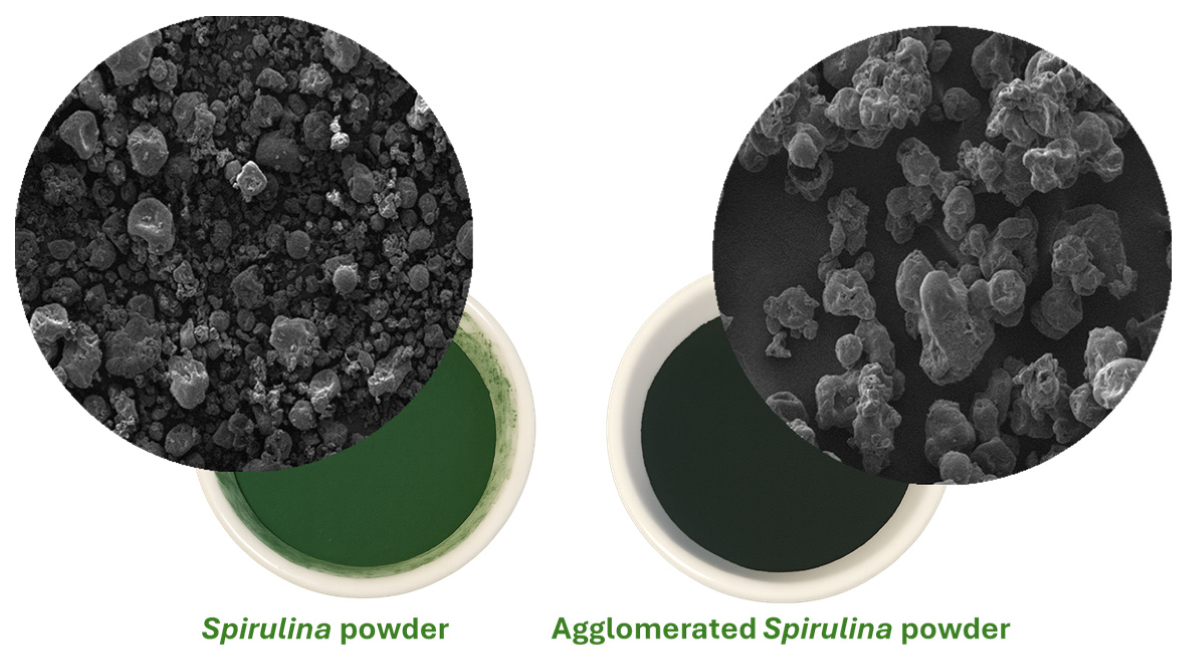 Fermentation 11 00389 g001