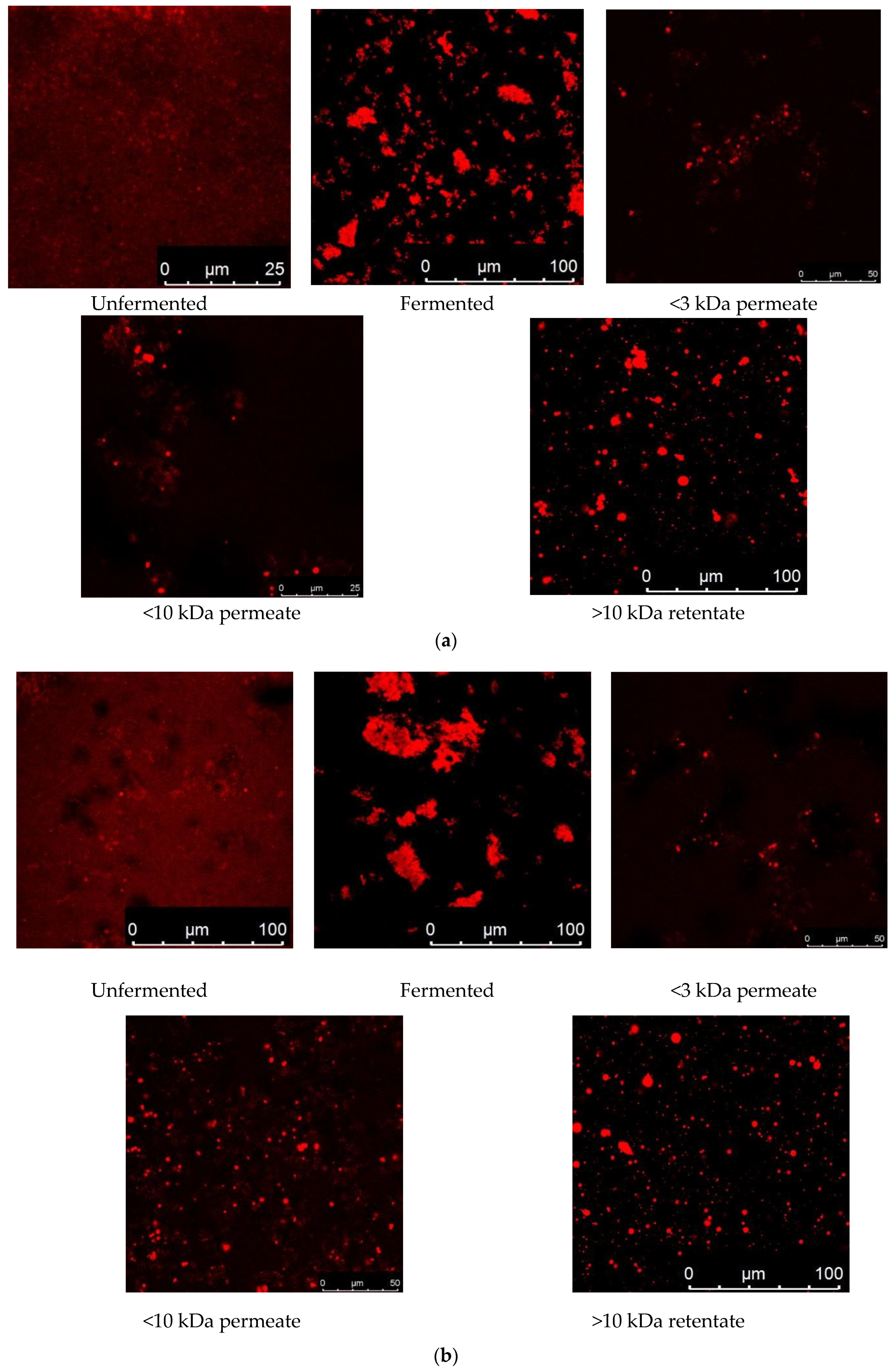 Fermentation 11 00391 g010