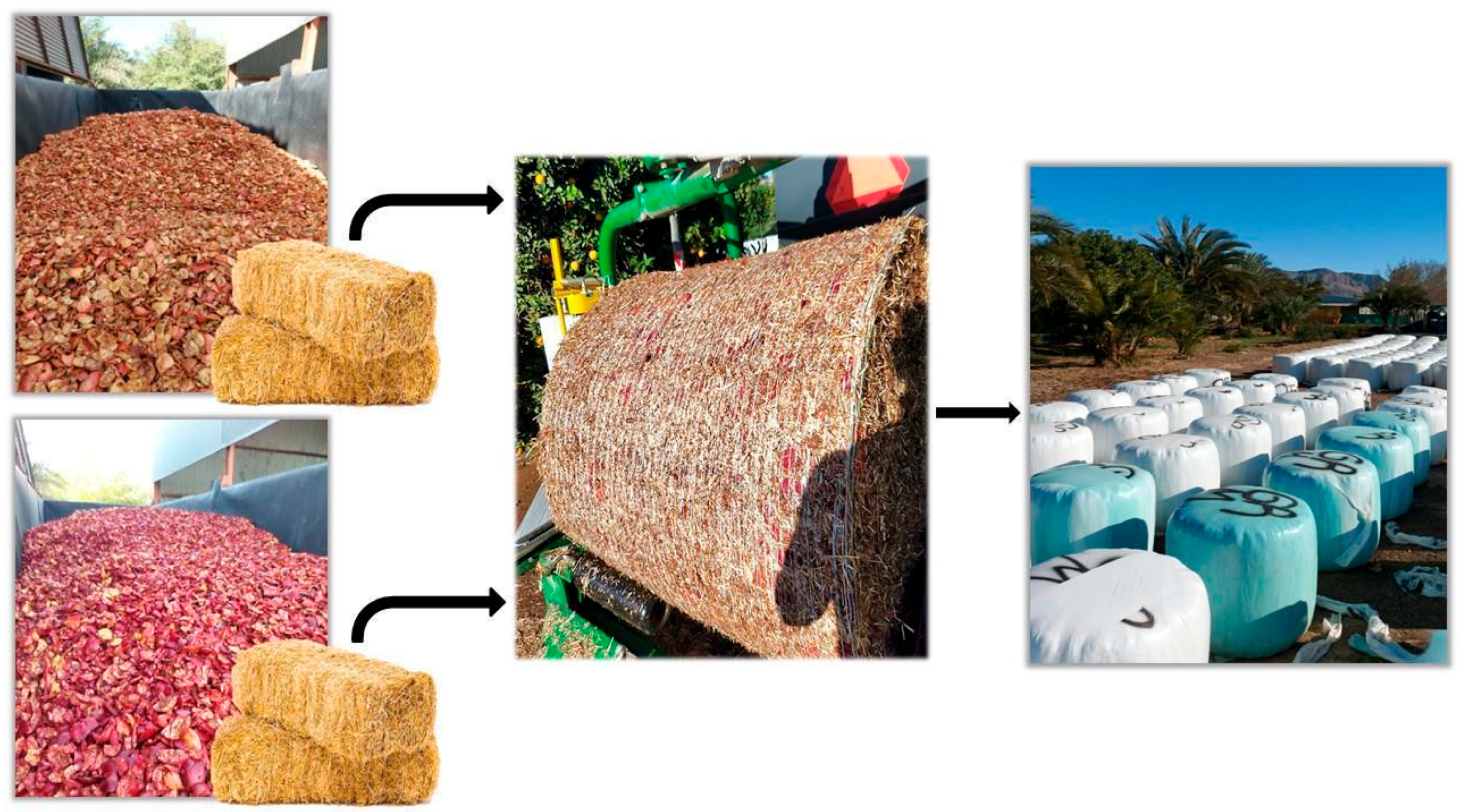 Fermentation 11 00392 g001