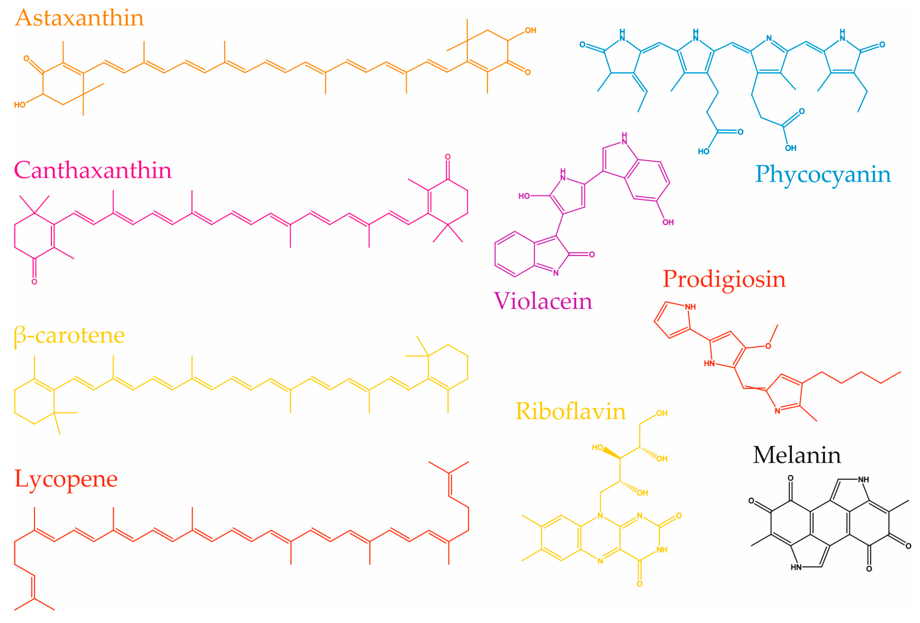Fermentation 11 00395 g002