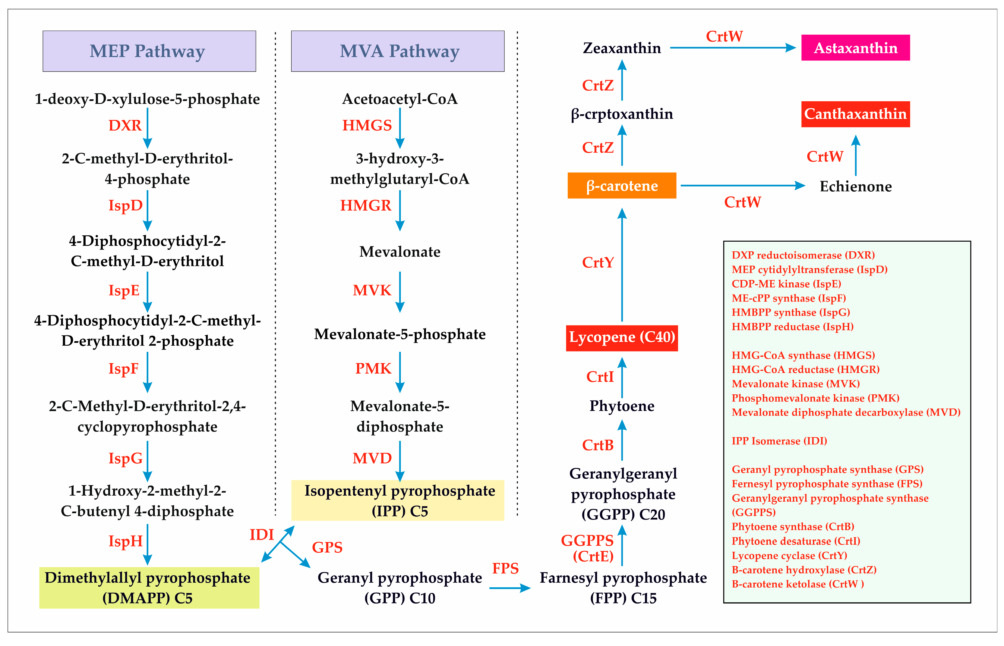 Fermentation 11 00395 g003