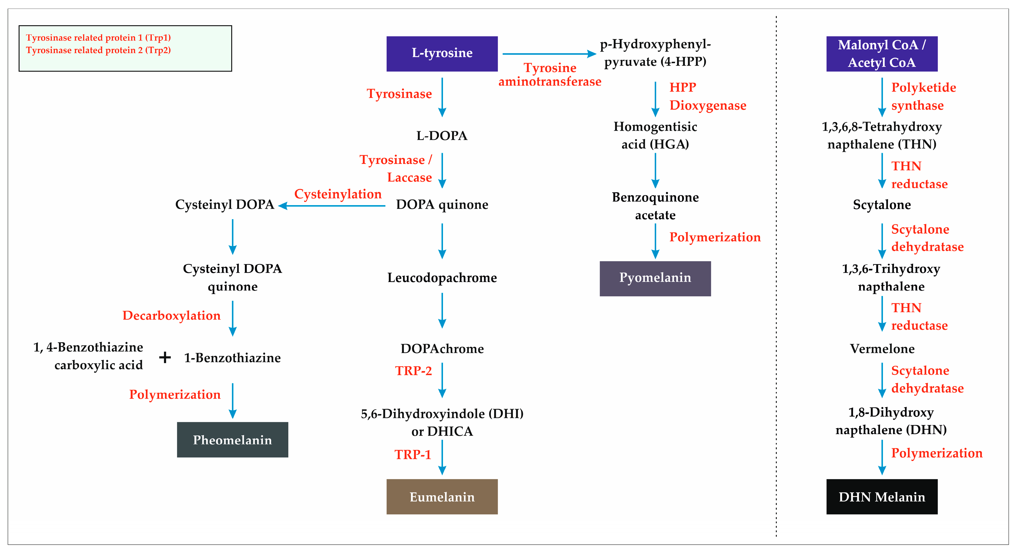Fermentation 11 00395 g004