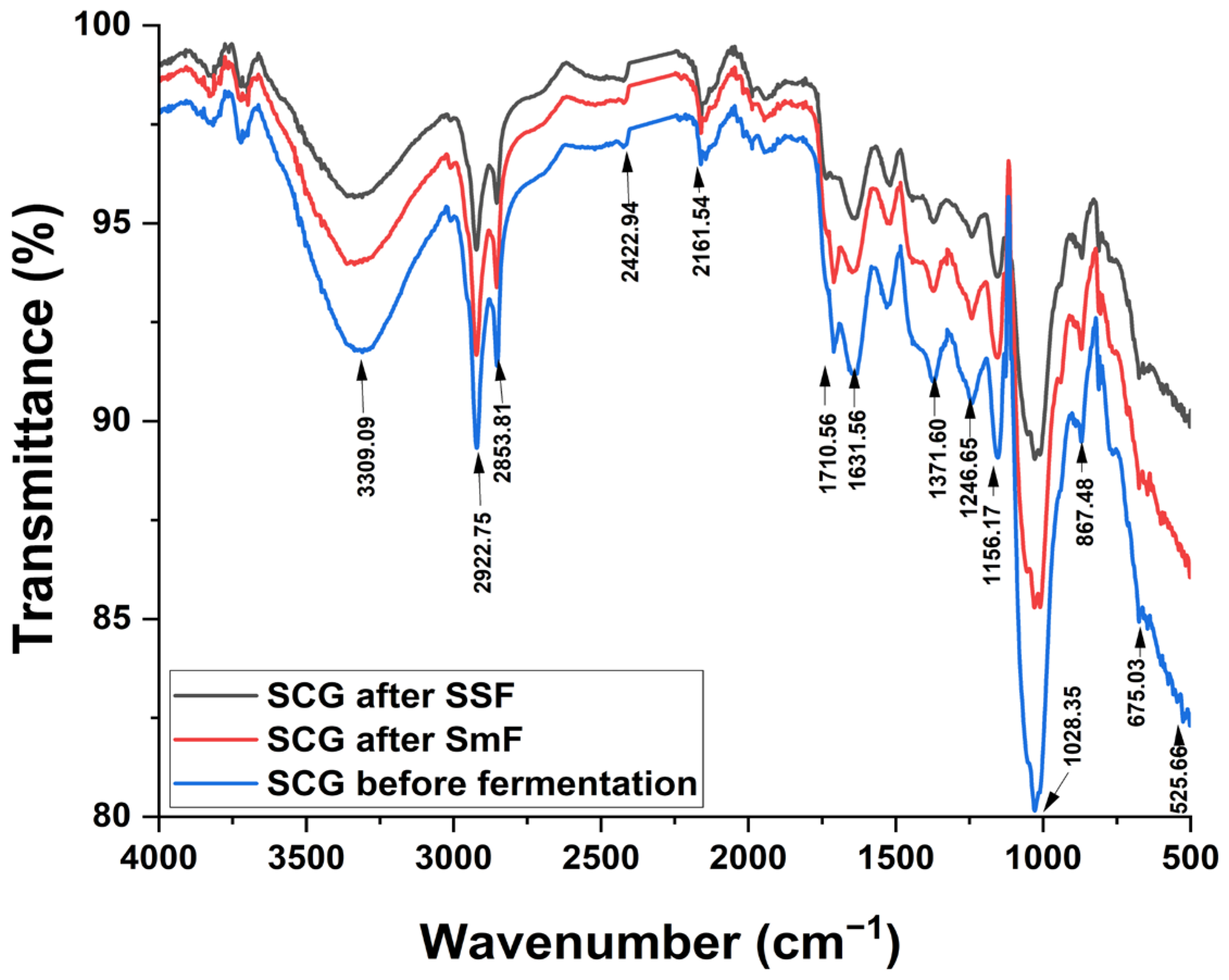 Fermentation 11 00396 g003