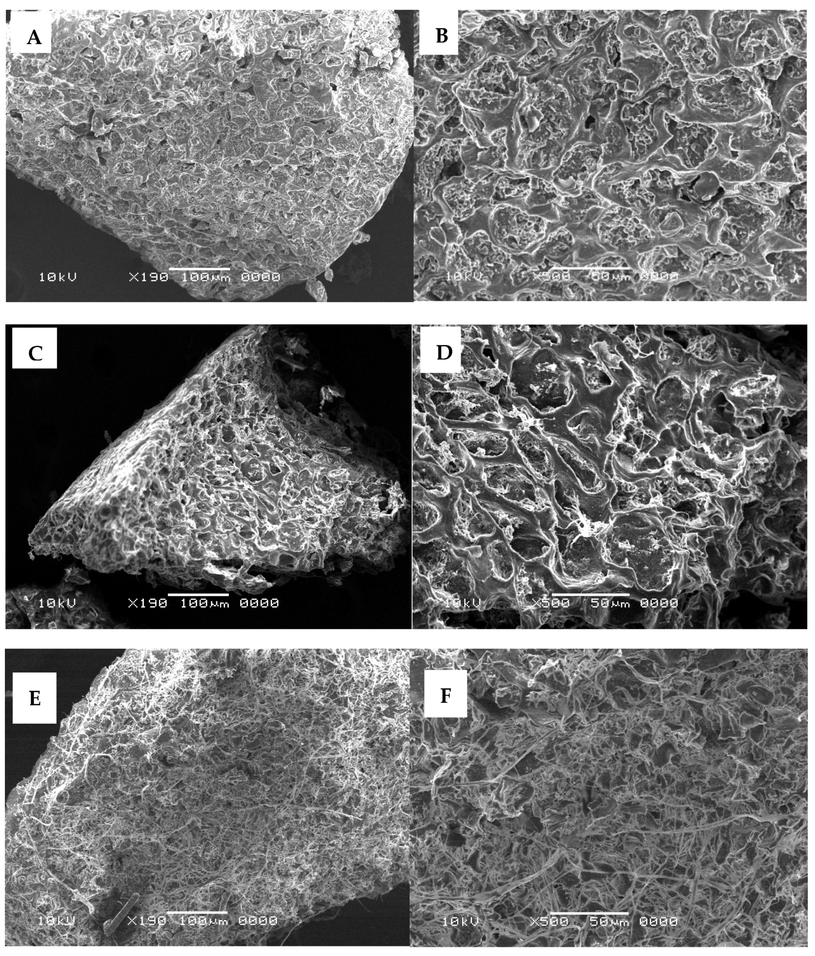 Fermentation 11 00396 g004