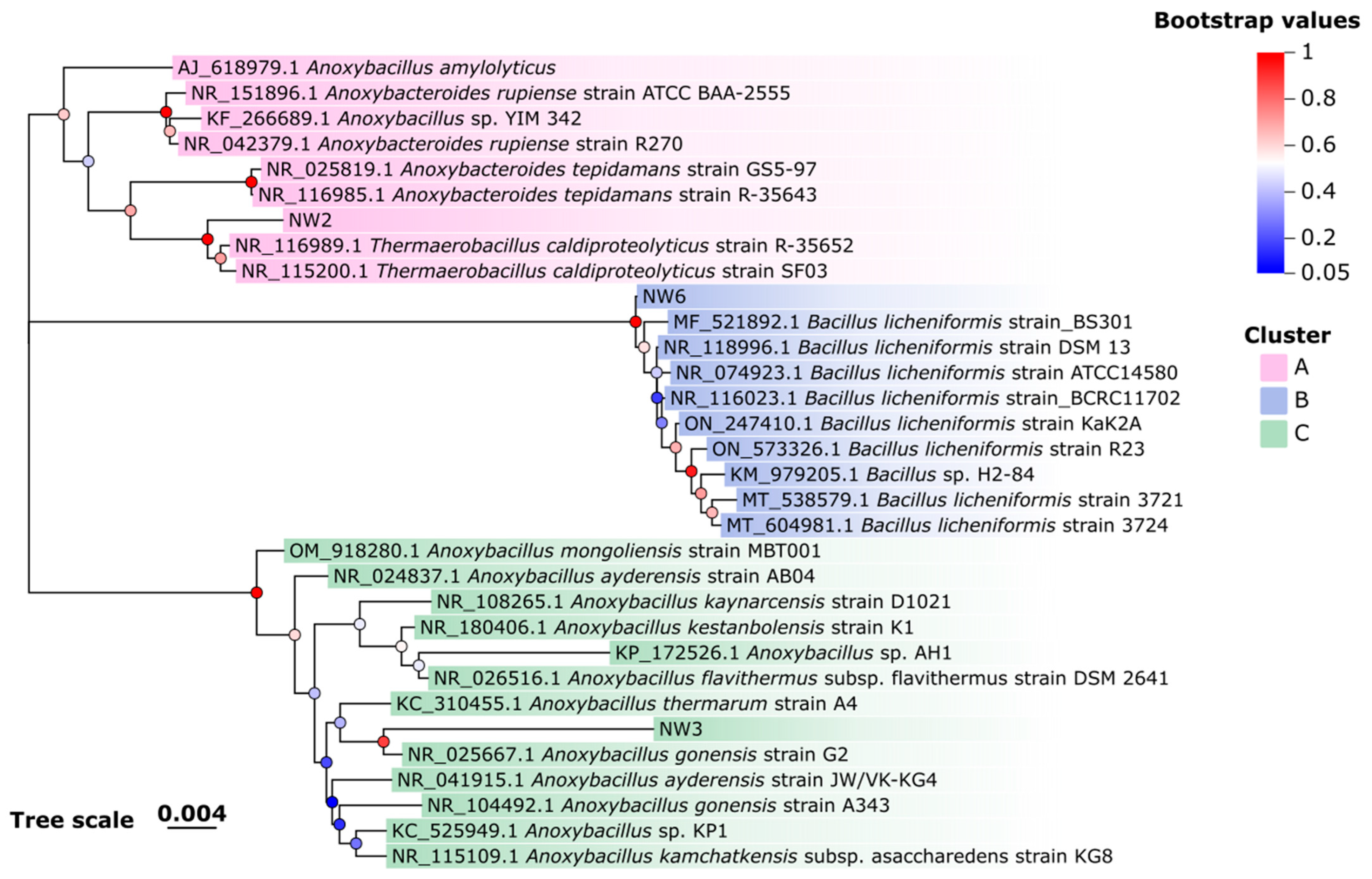 Fermentation 11 00397 g004