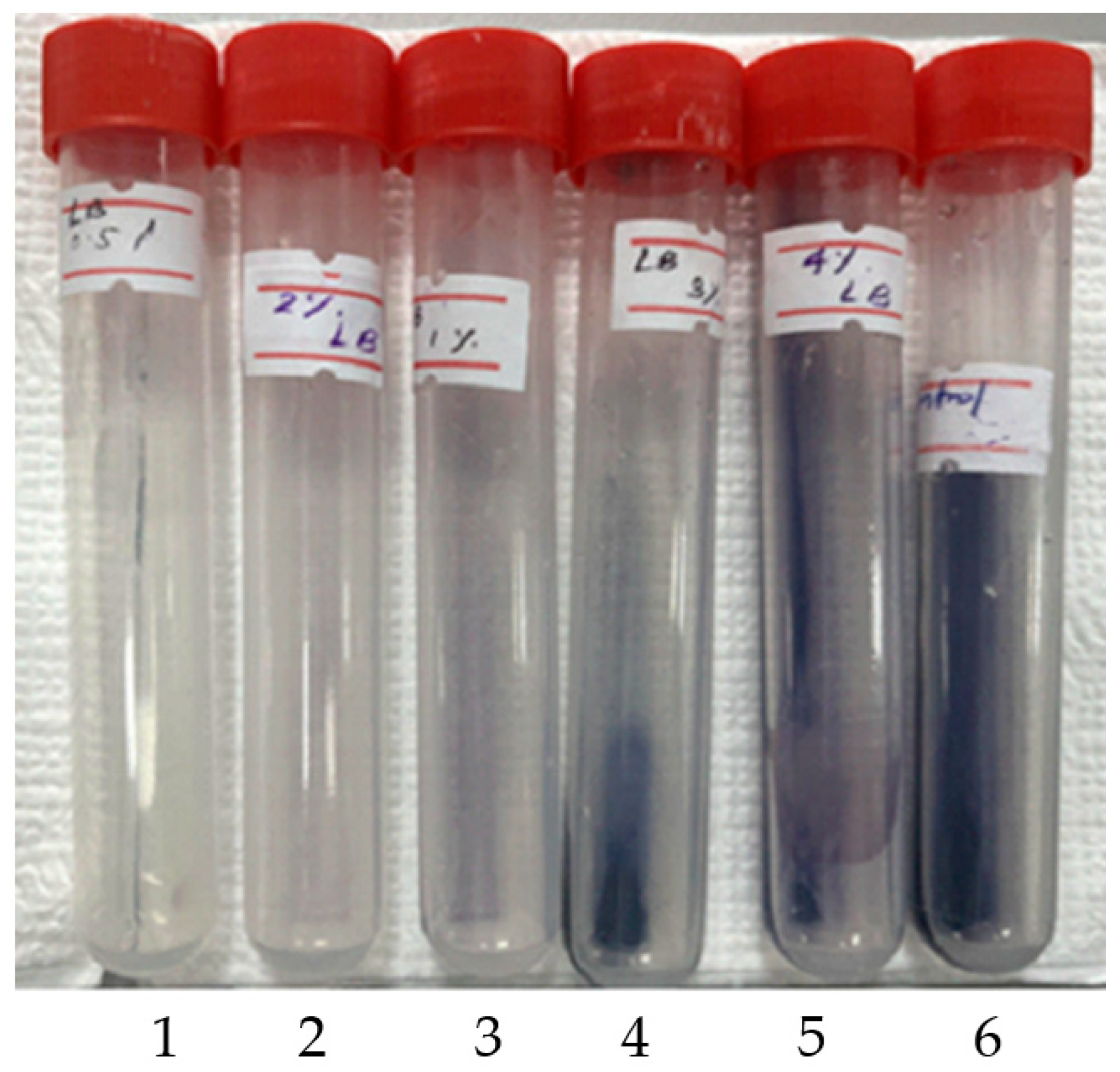 Fermentation 11 00397 g009