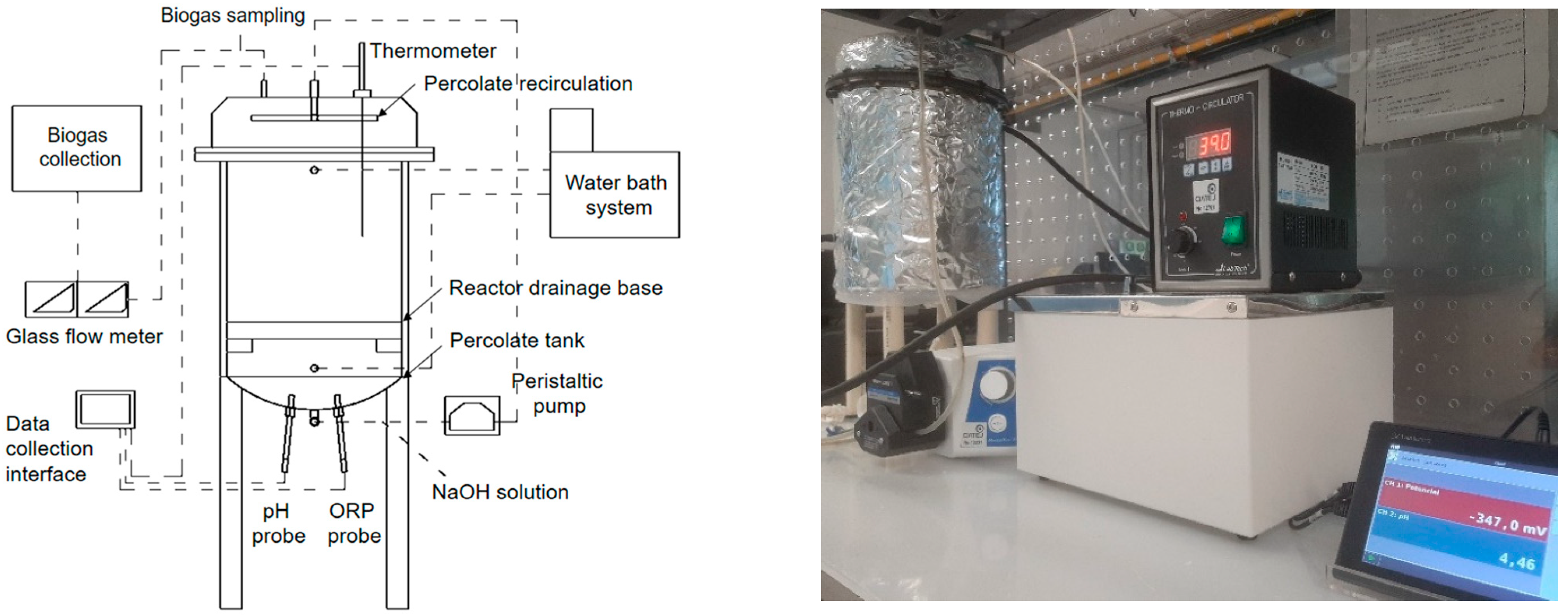 Fermentation 11 00398 g001