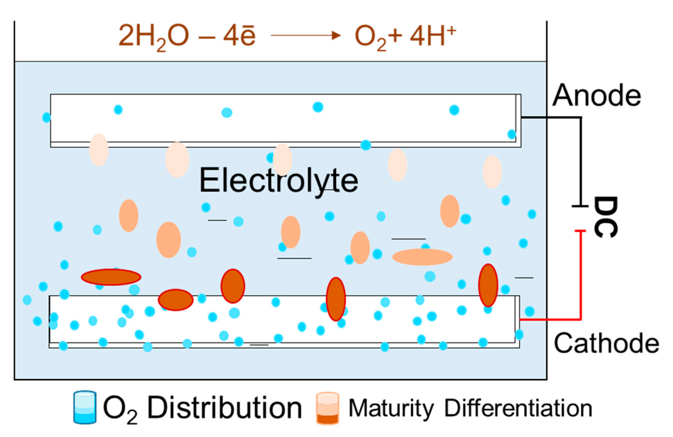 Fermentation 11 00401 g004