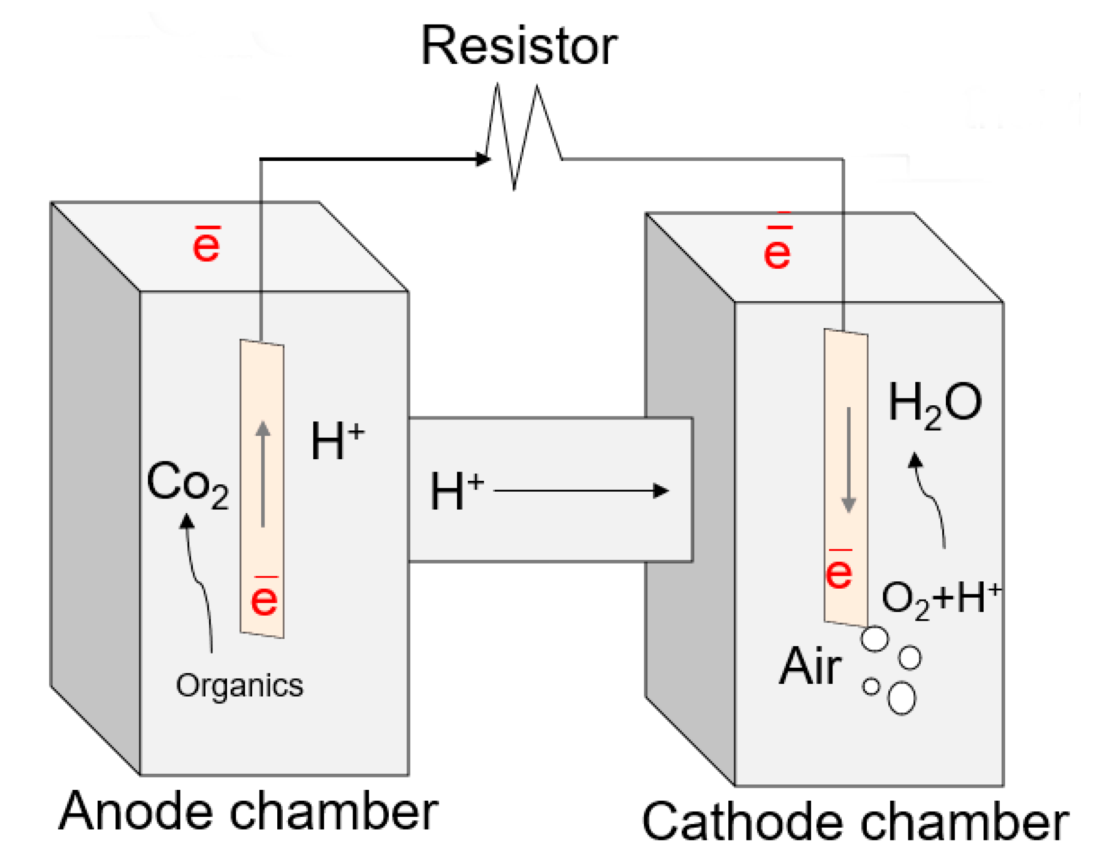 Fermentation 11 00401 g005