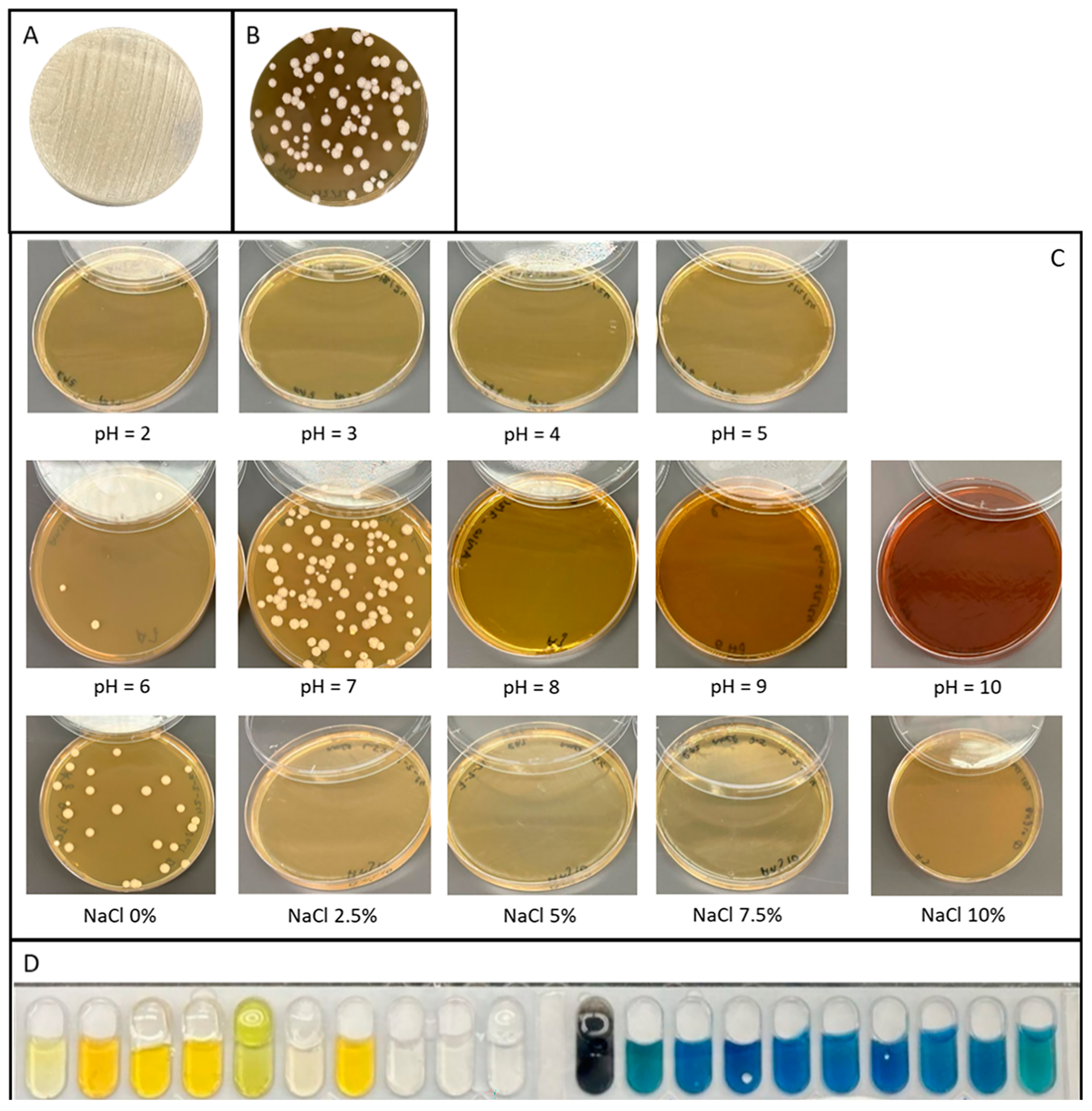 Fermentation 11 00406 g002
