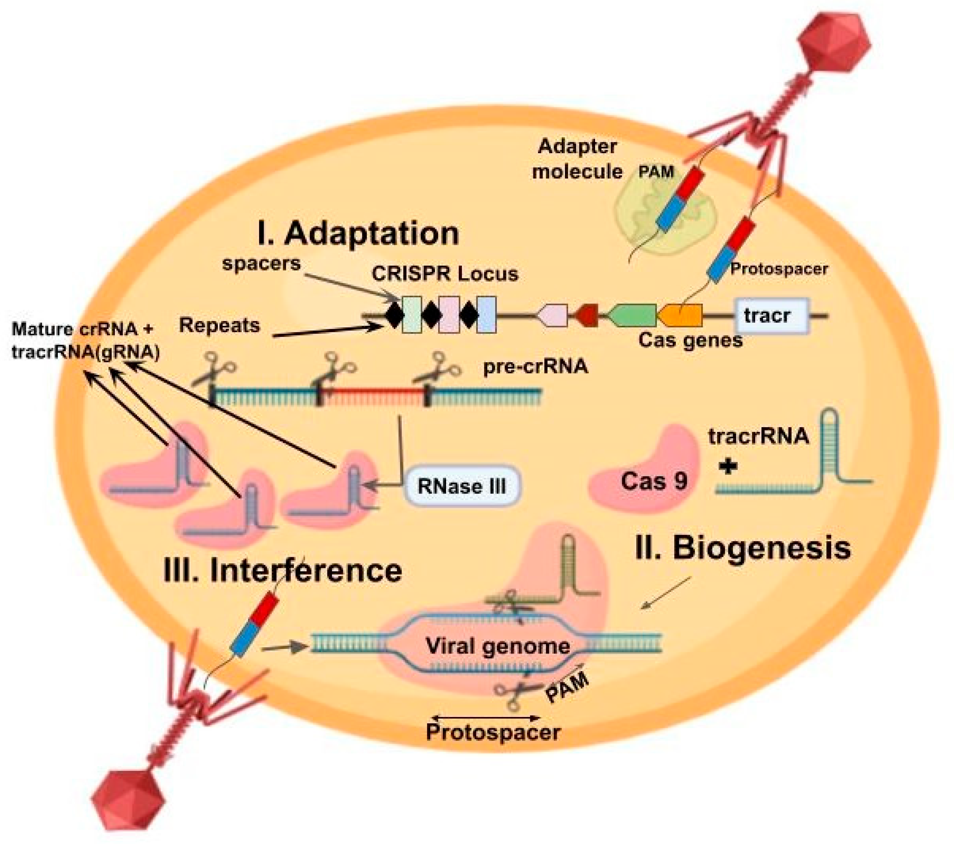 Fermentation 11 00410 g001