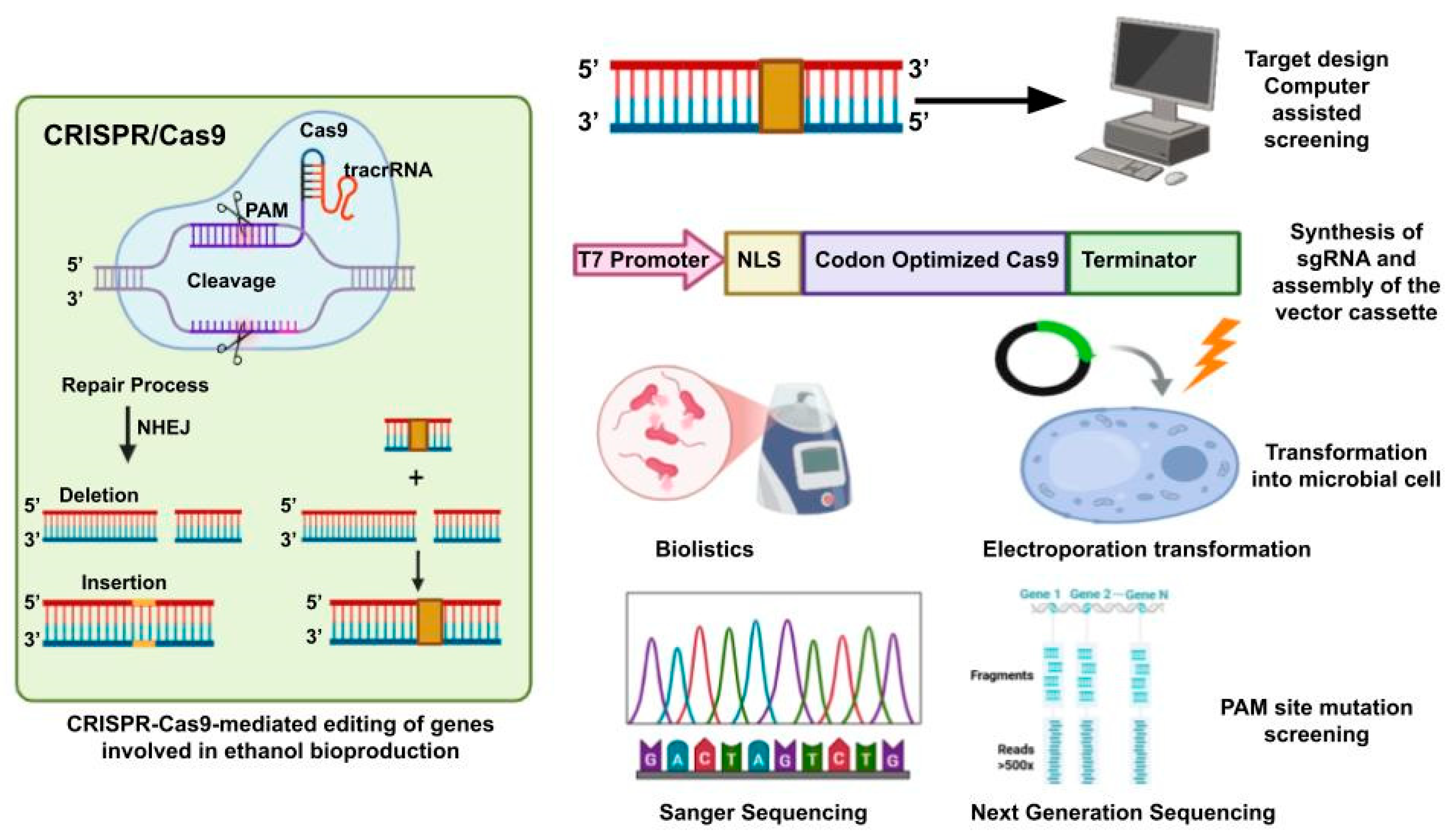 Fermentation 11 00410 g002