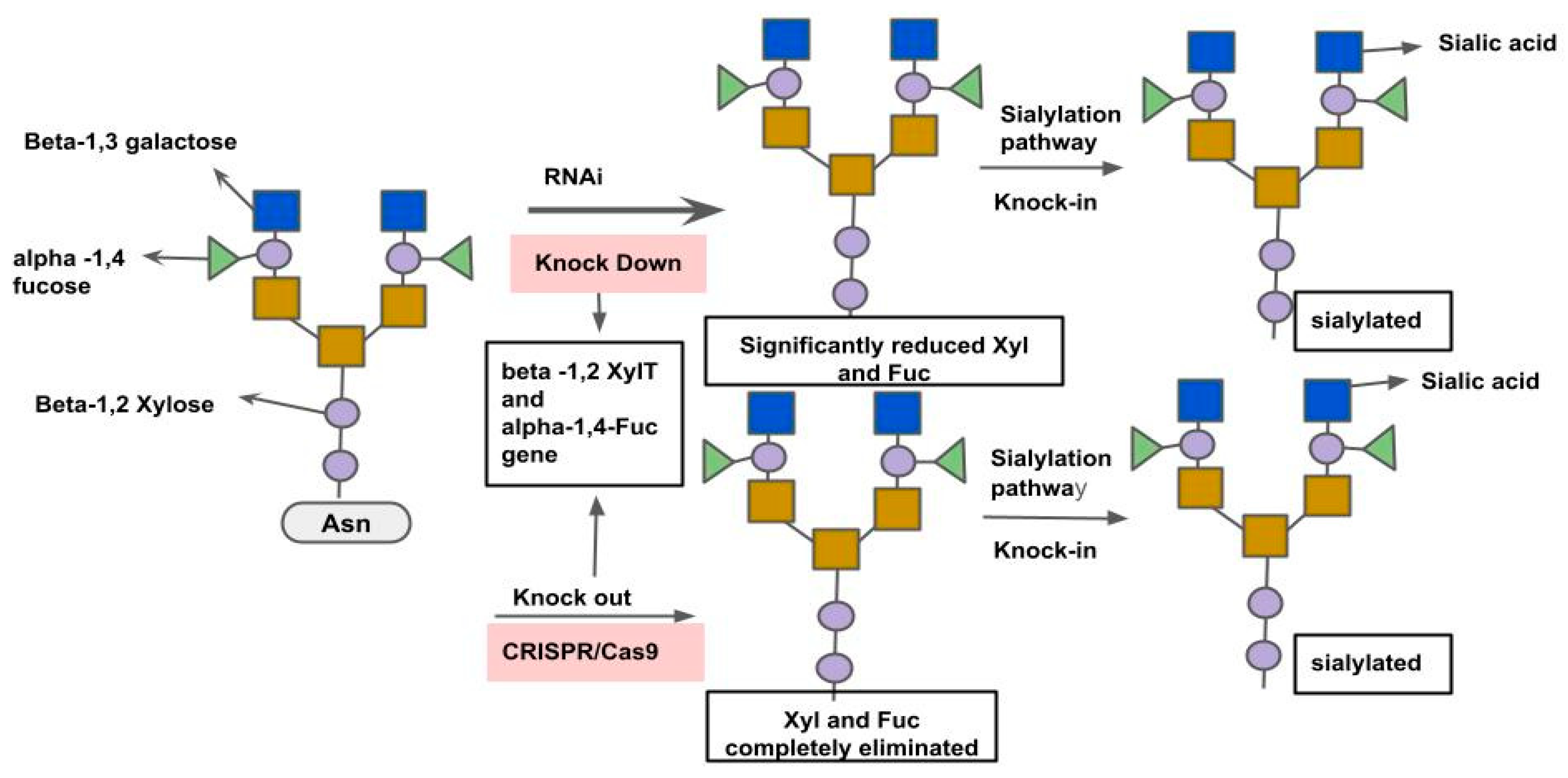 Fermentation 11 00410 g003