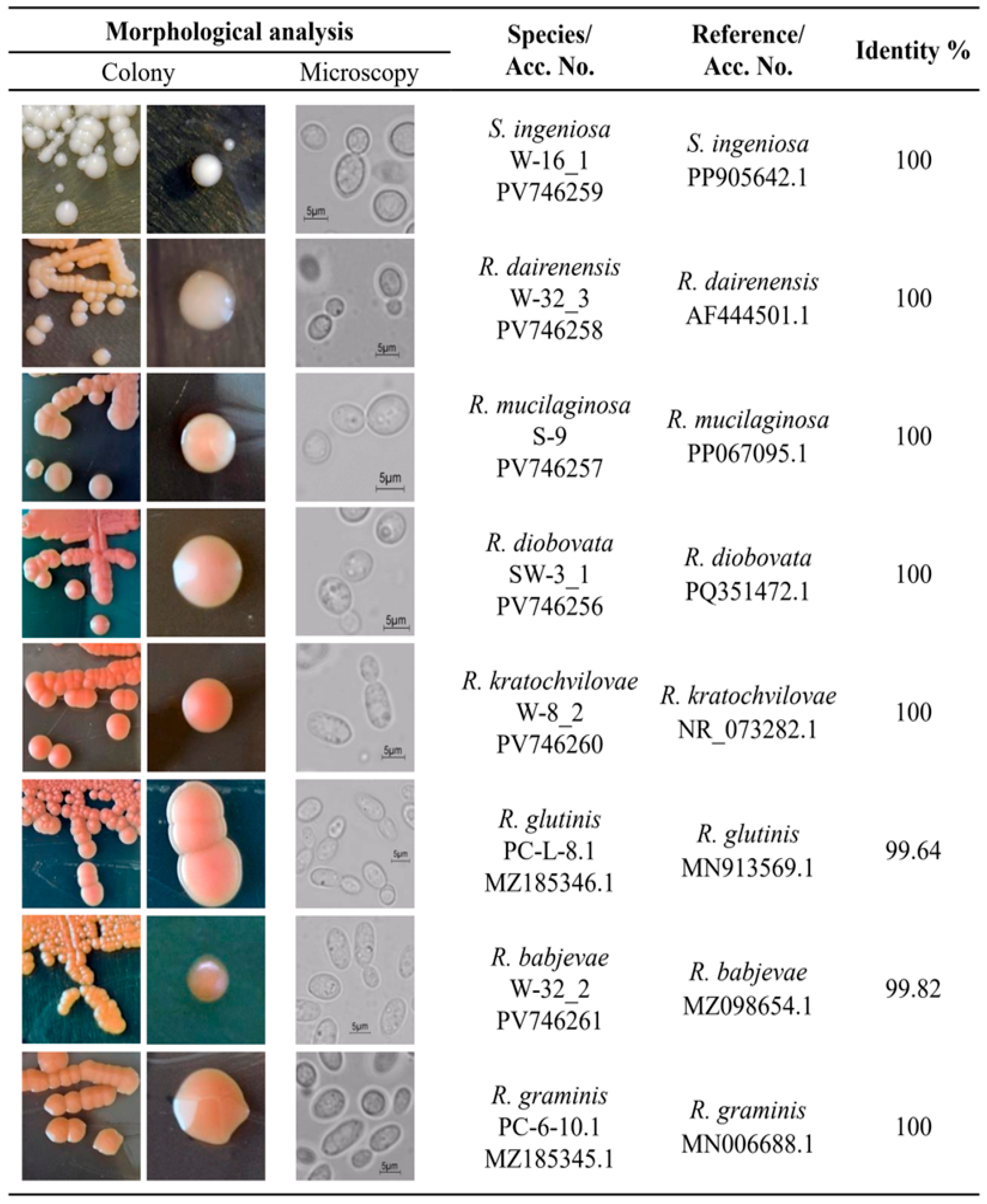 Fermentation 11 00412 g001
