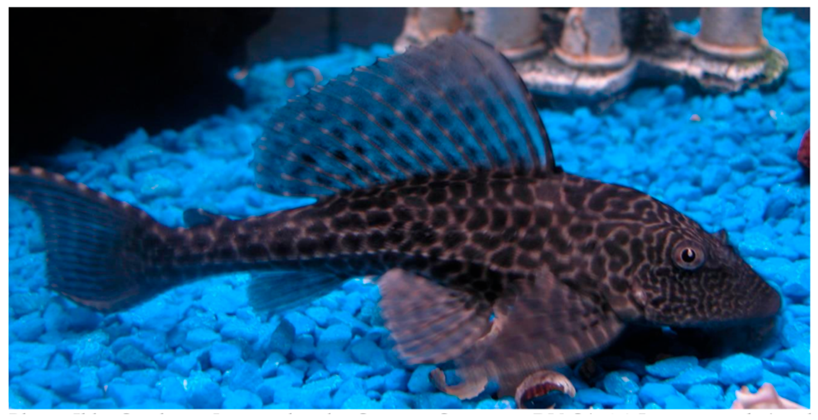 Fermentation 11 00416 g001