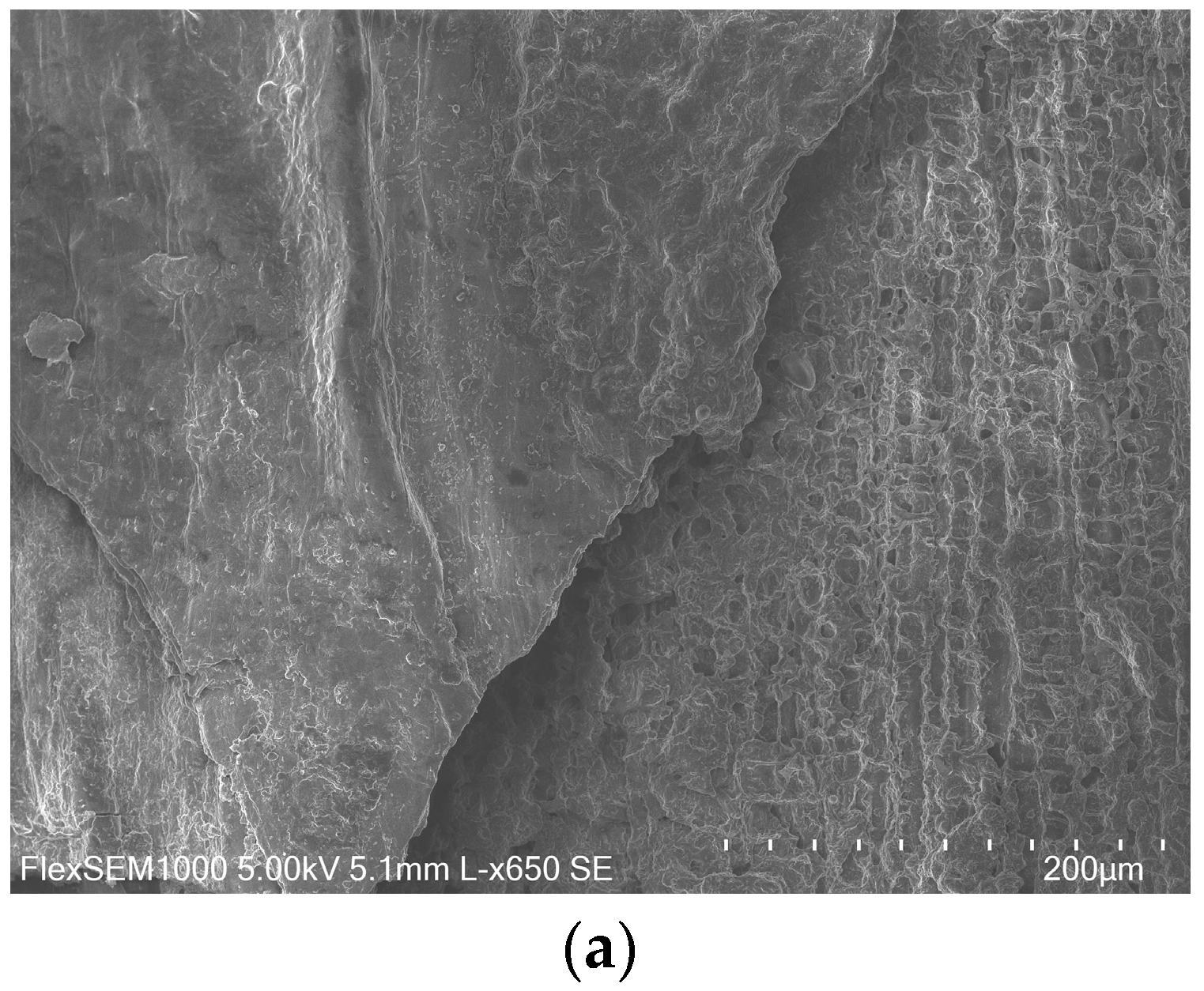 Fermentation 11 00421 g002a
