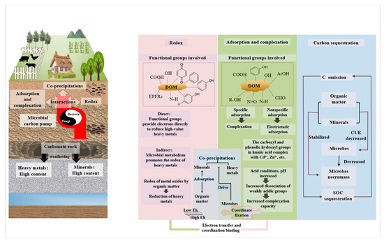 Karst Multi-Source Organic Solid Waste Bio-Enhanced