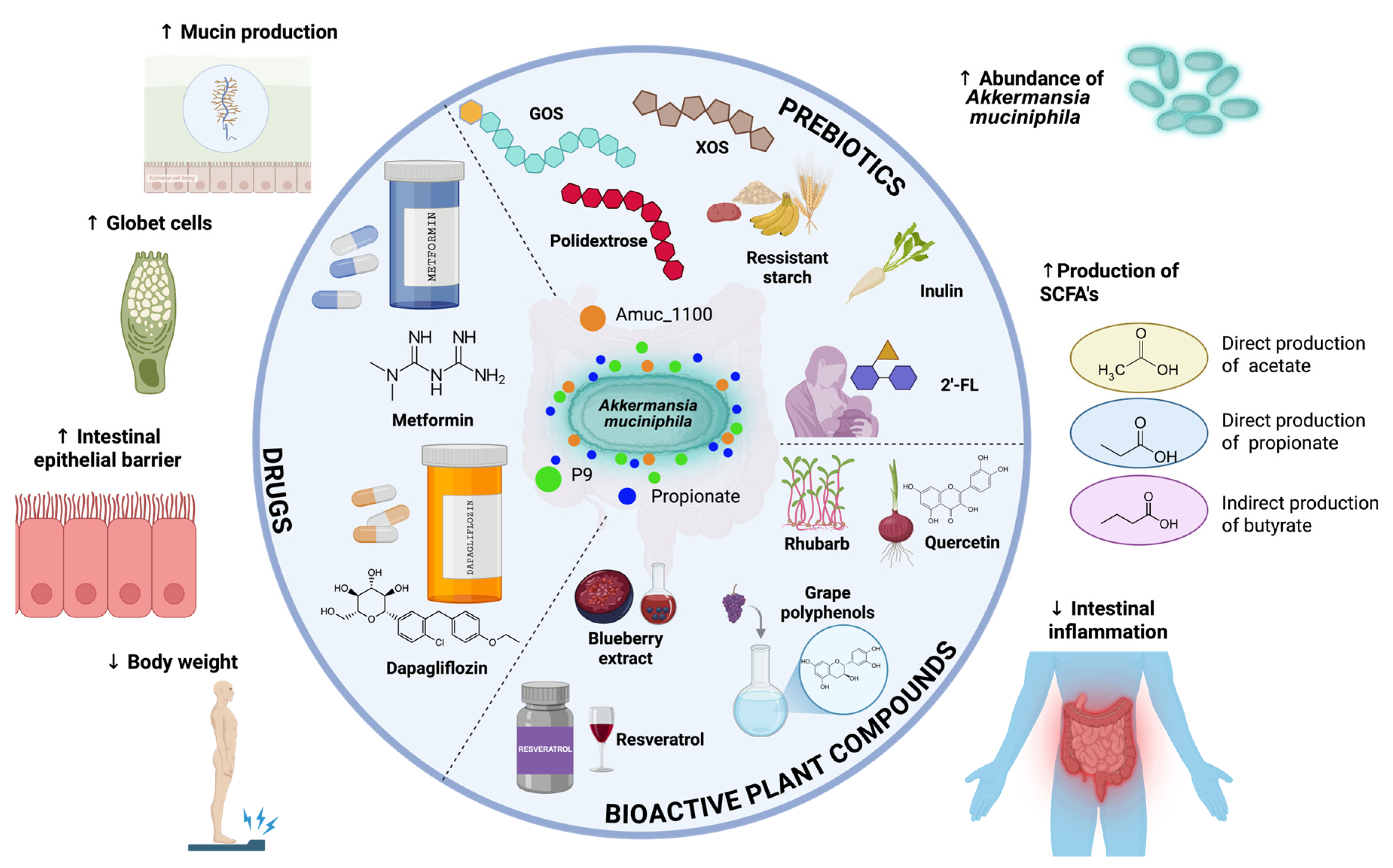 Fermentation 11 00427 g004