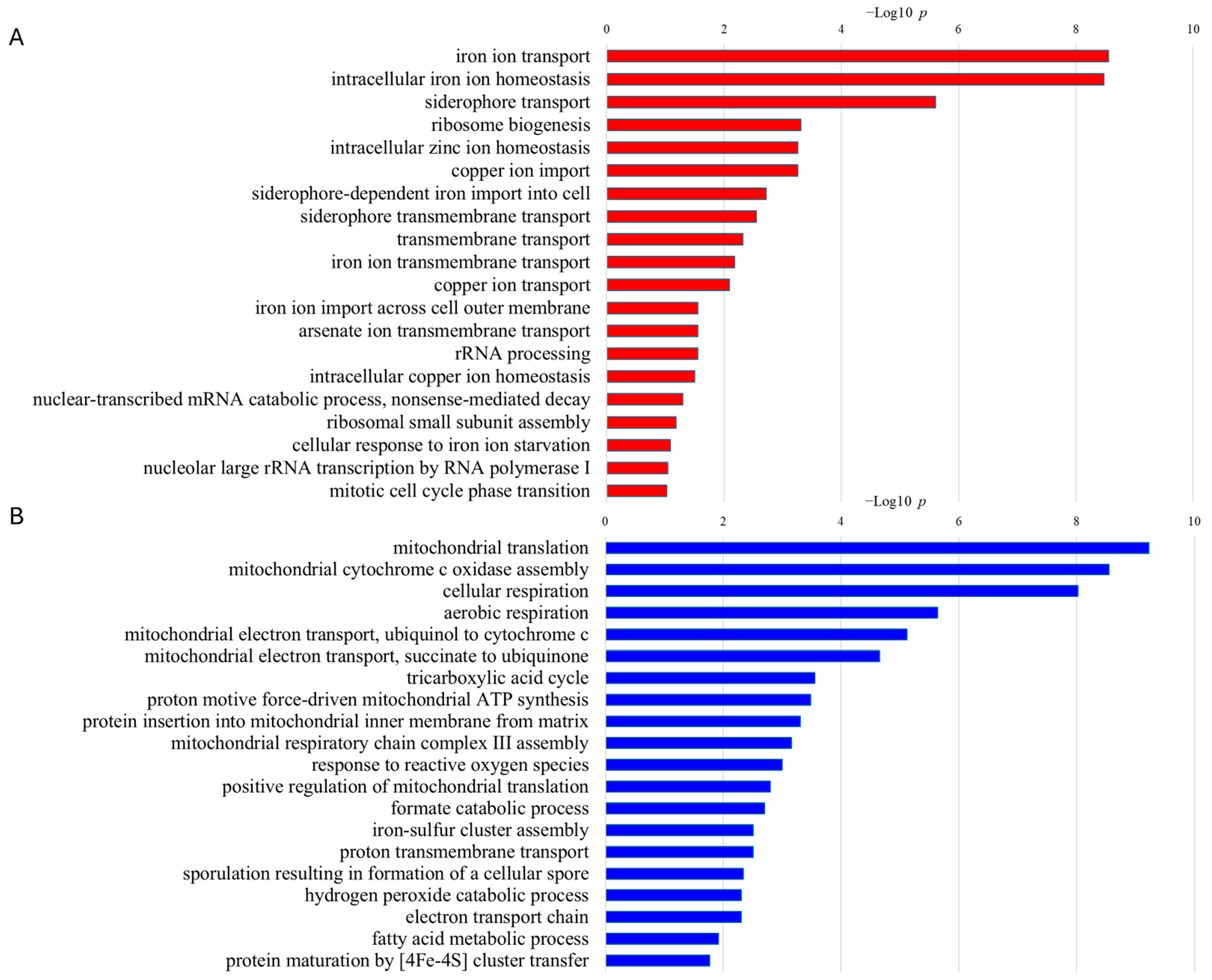 Fermentation 11 00432 g002