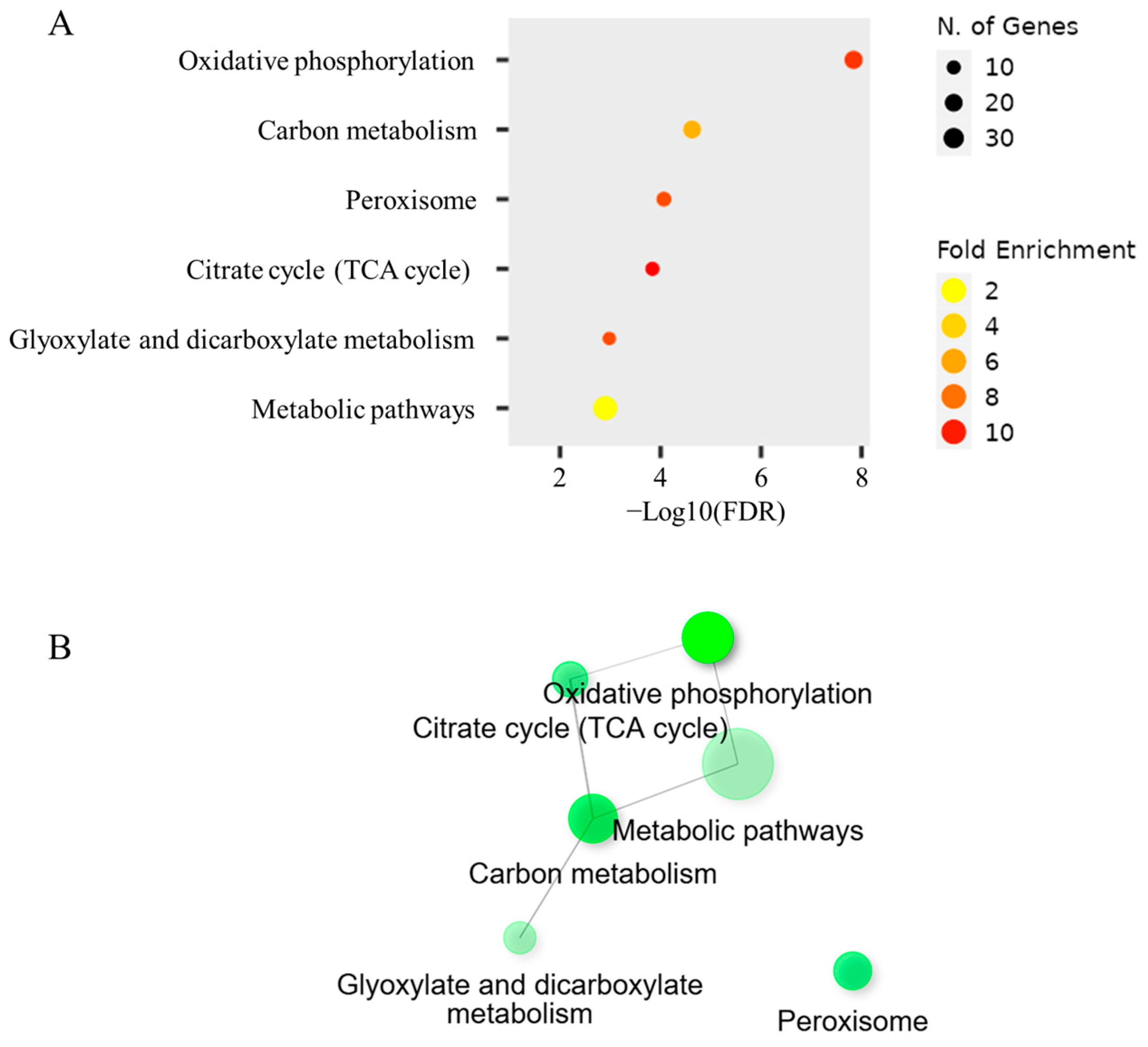 Fermentation 11 00432 g003