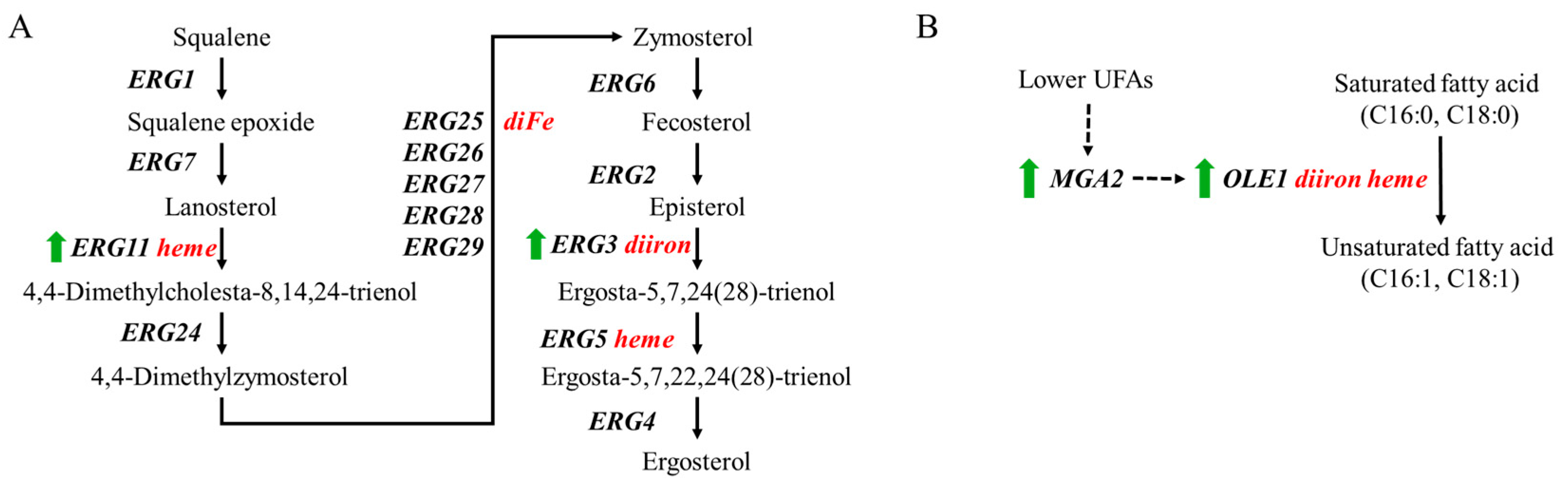 Fermentation 11 00432 g006