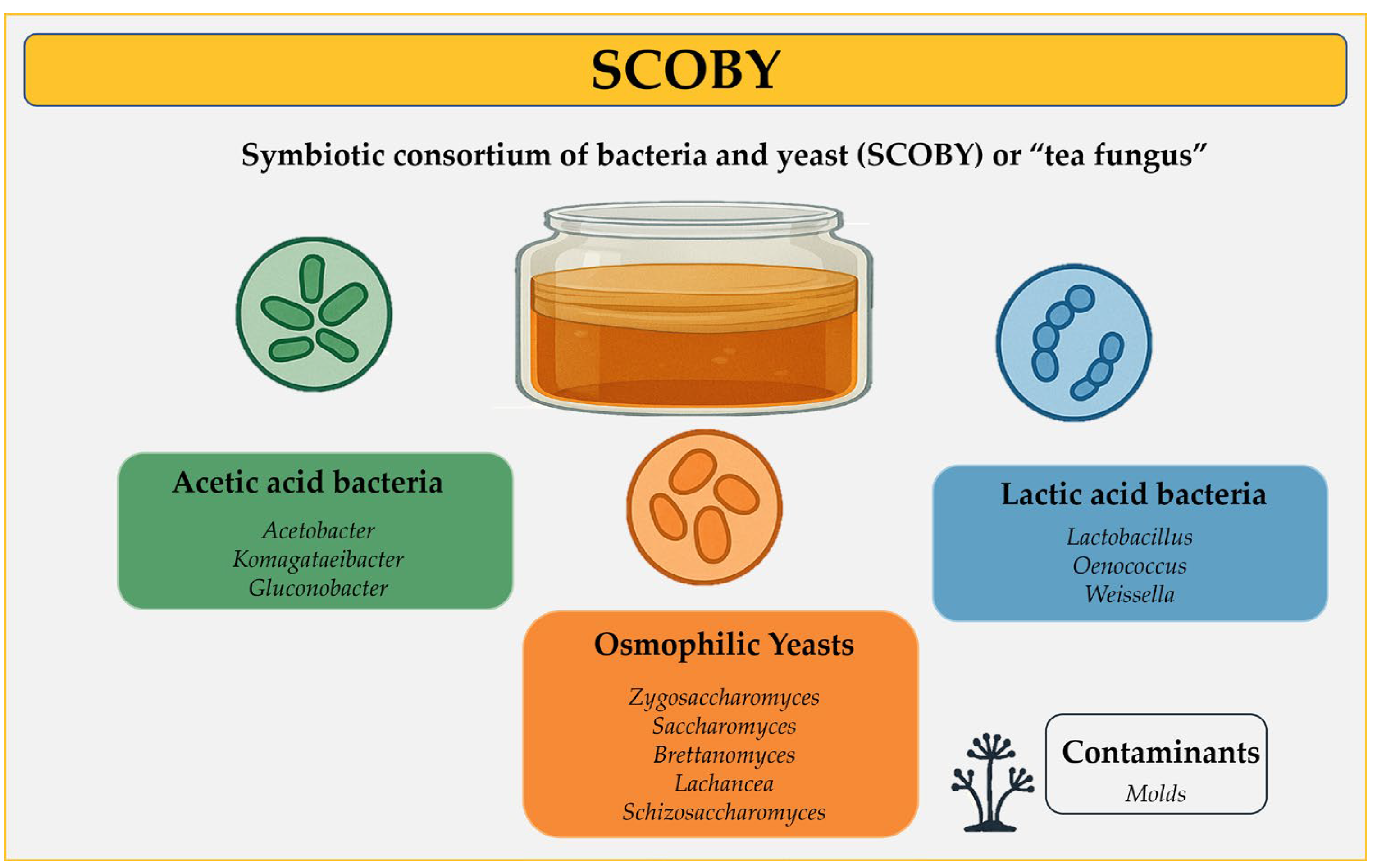 Fermentation 11 00434 g002