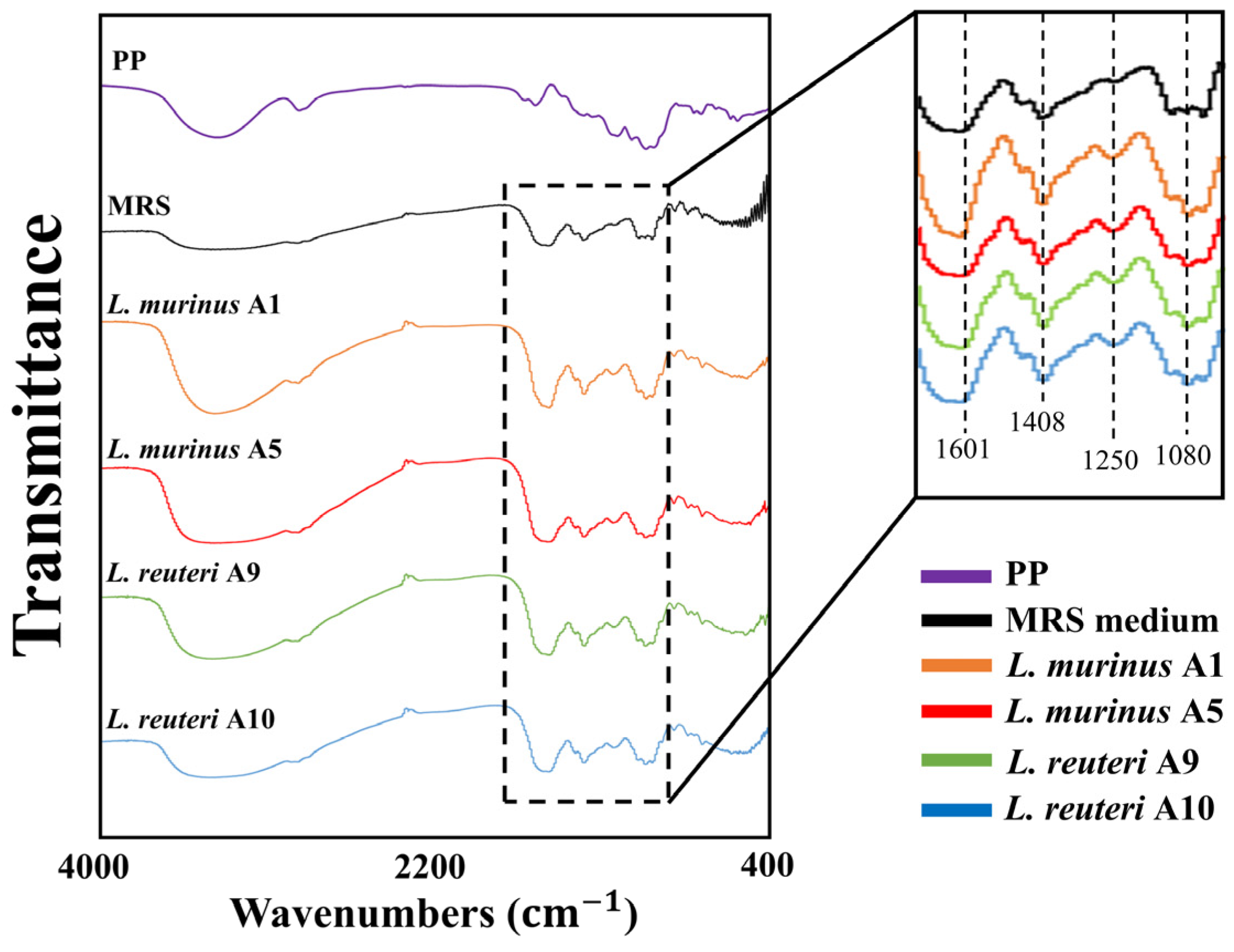 Fermentation 11 00435 g005