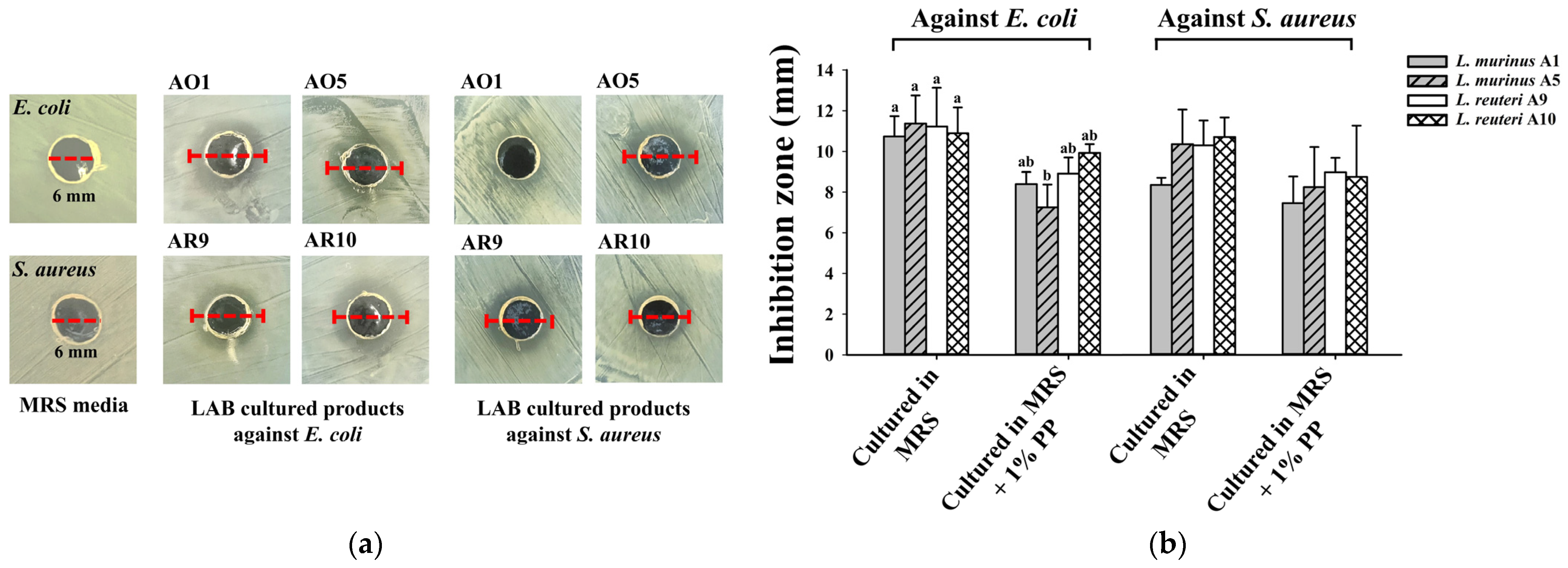 Fermentation 11 00435 g006
