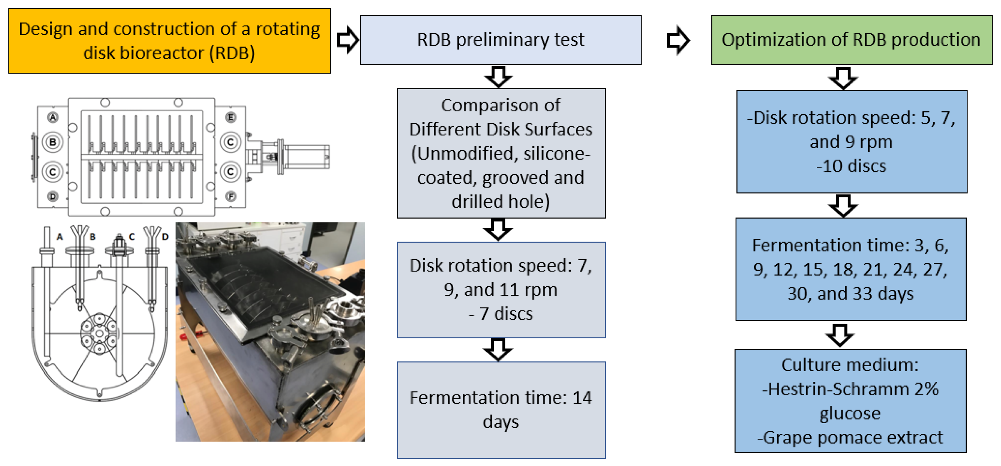 Fermentation 11 00441 g001