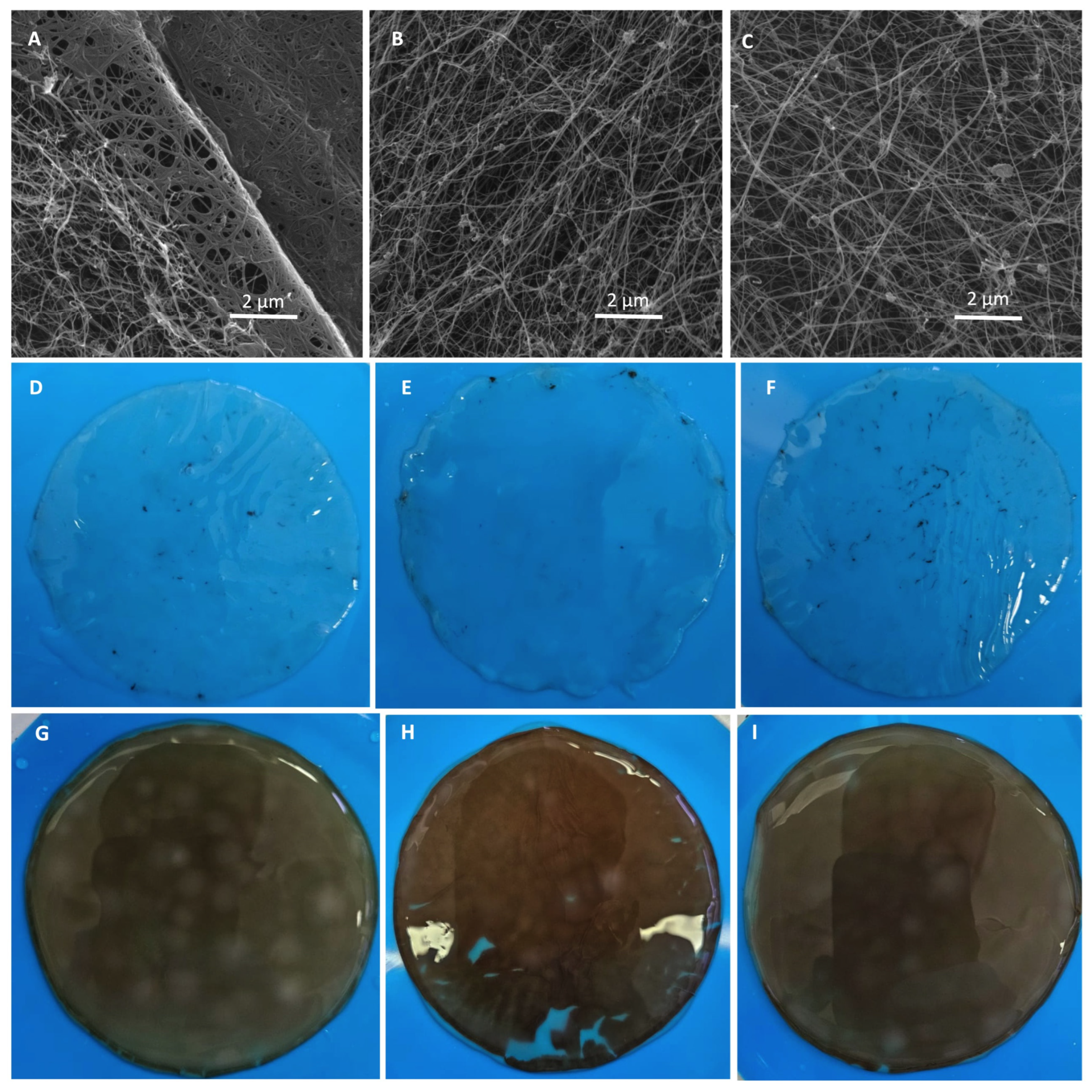 Fermentation 11 00441 g010