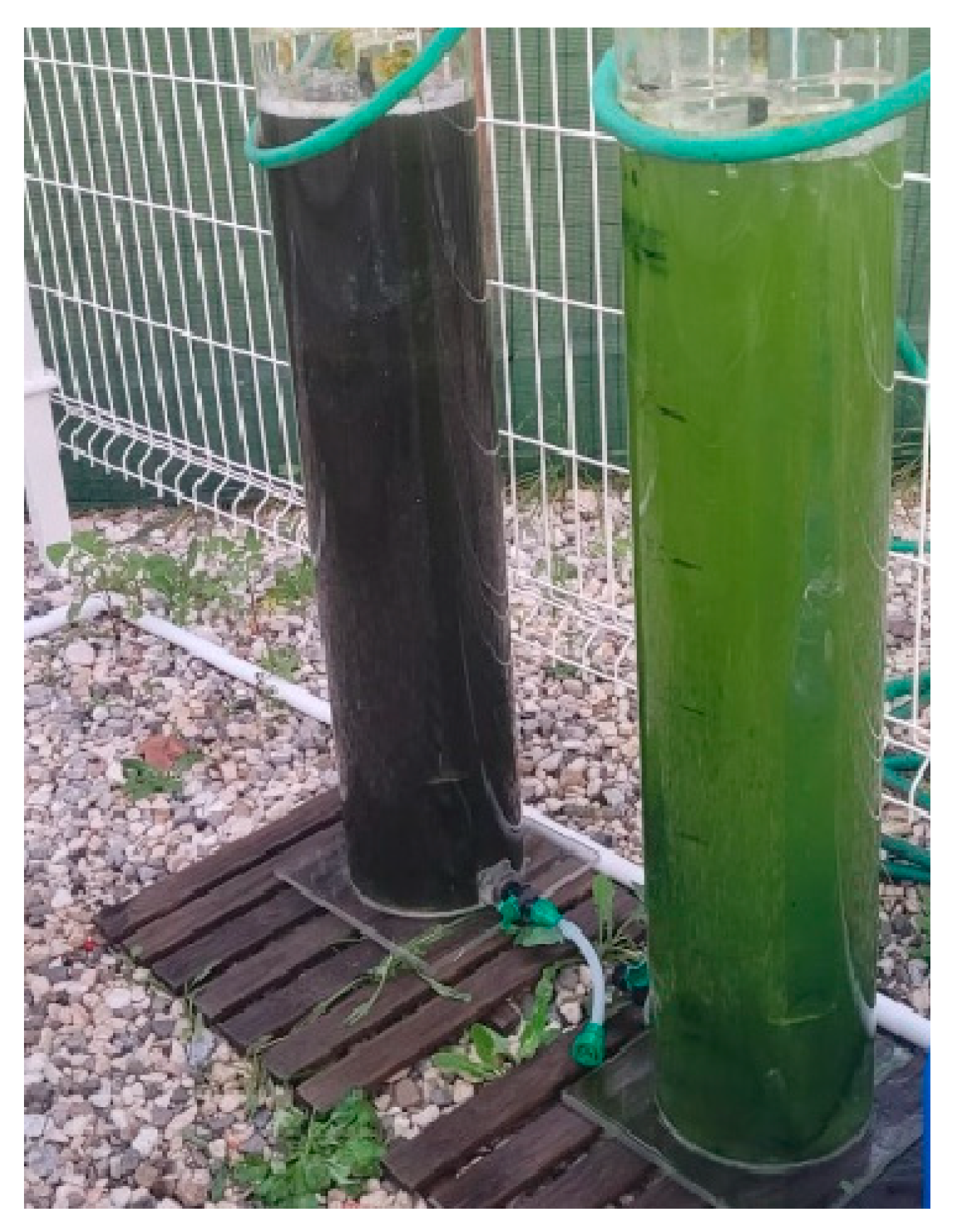 Fermentation 11 00442 g002 Fermentation 11 00442 g002