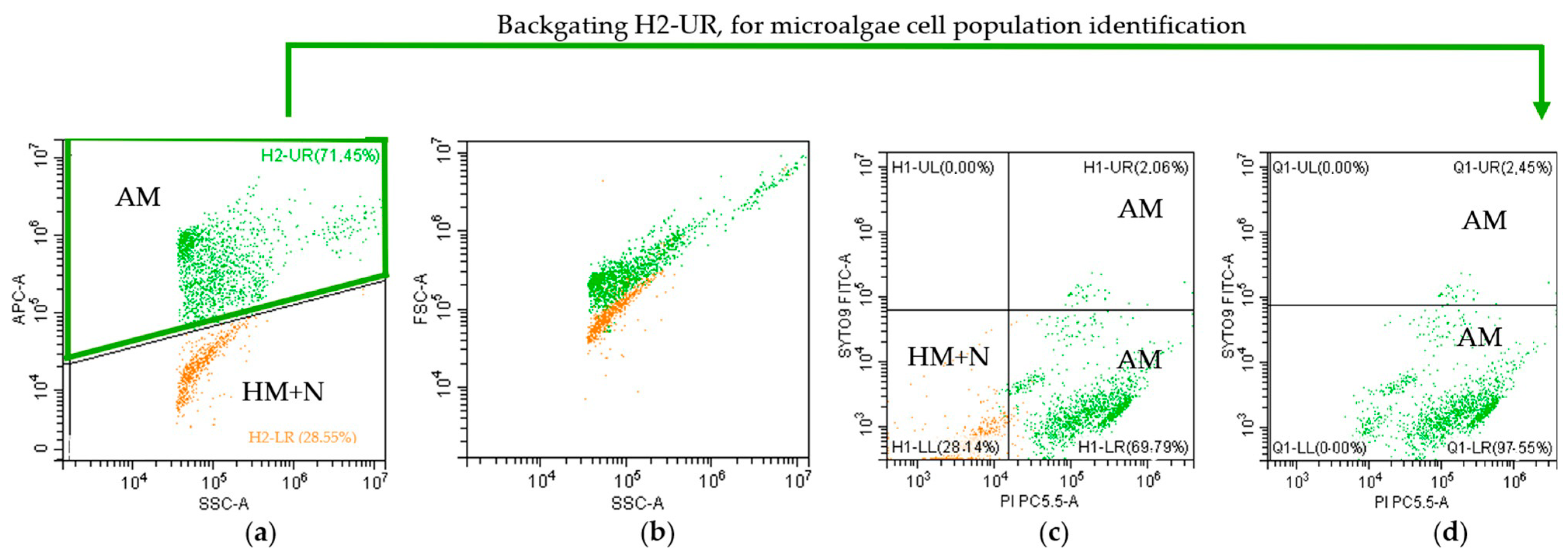 Fermentation 11 00442 g004 Fermentation 11 00442 g004