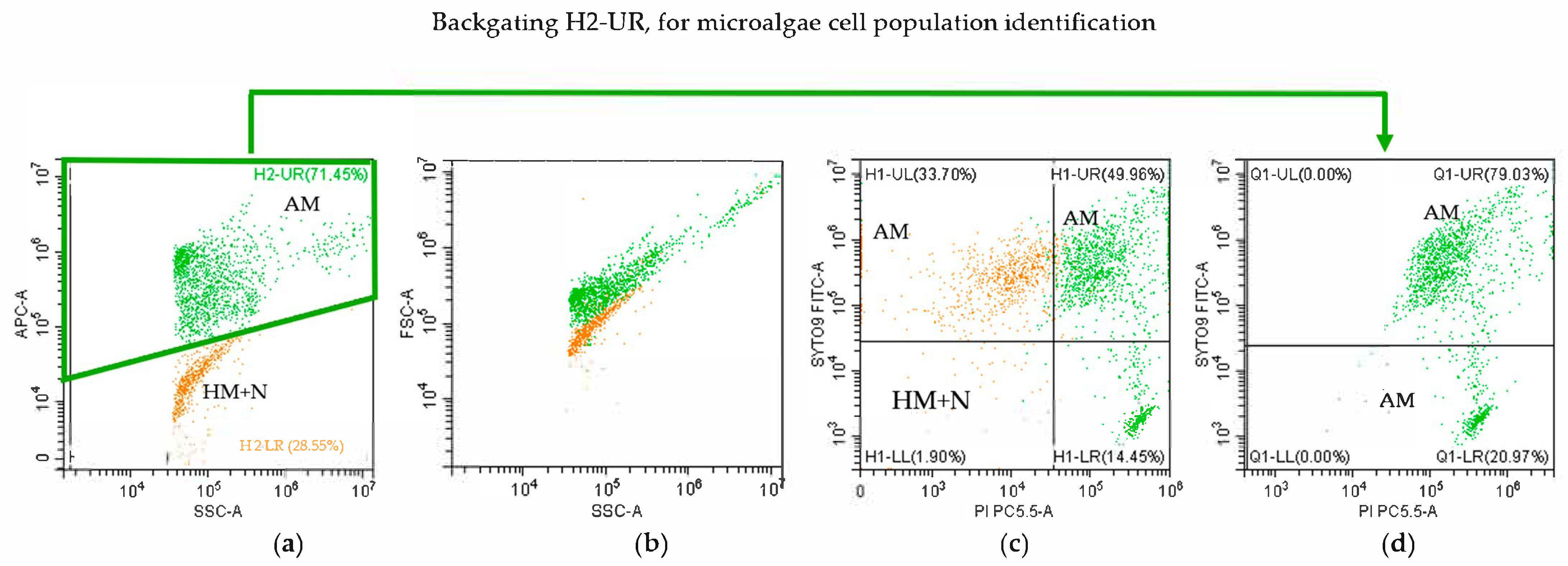 Fermentation 11 00442 g005 Fermentation 11 00442 g005