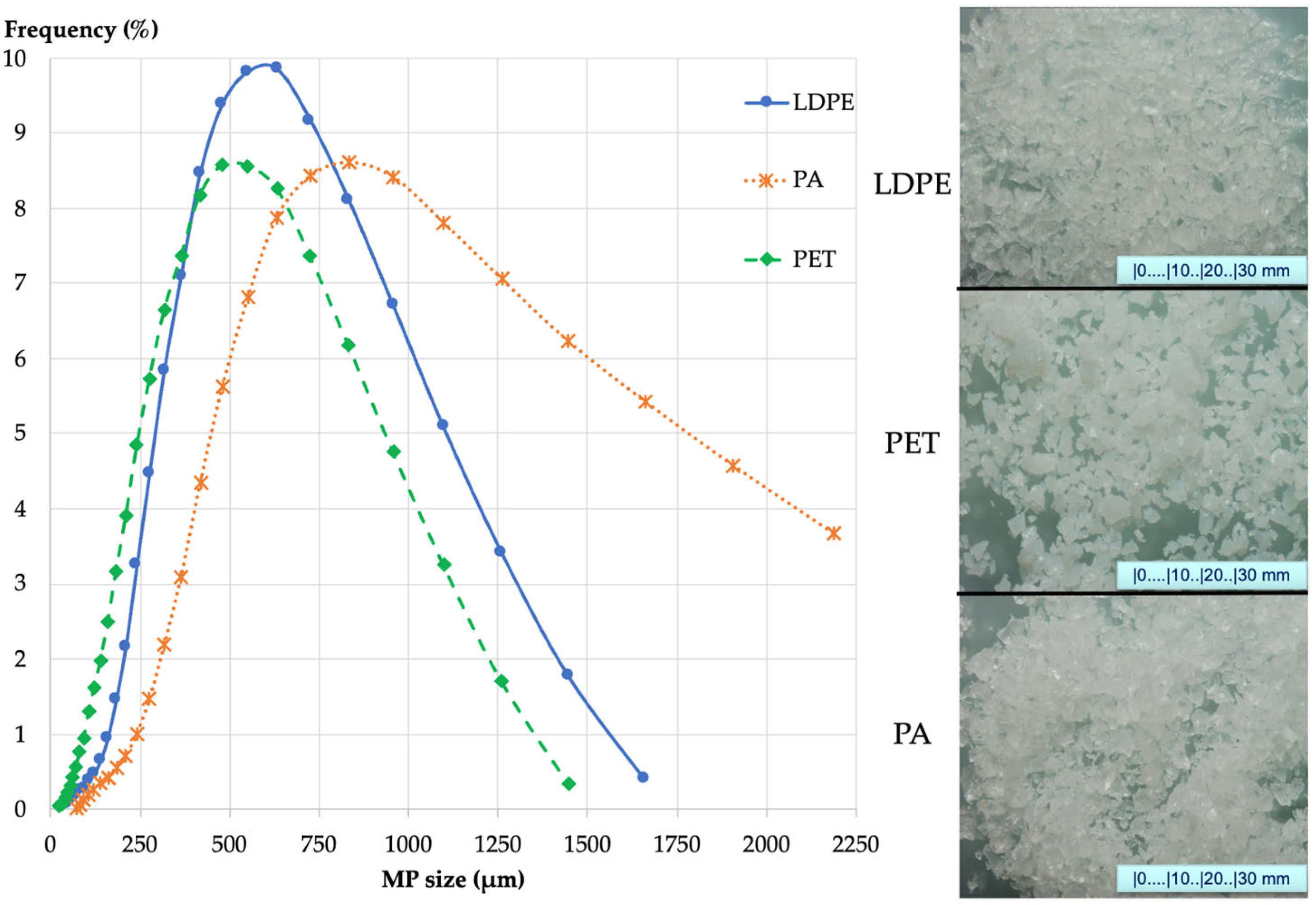Fermentation 11 00445 g001