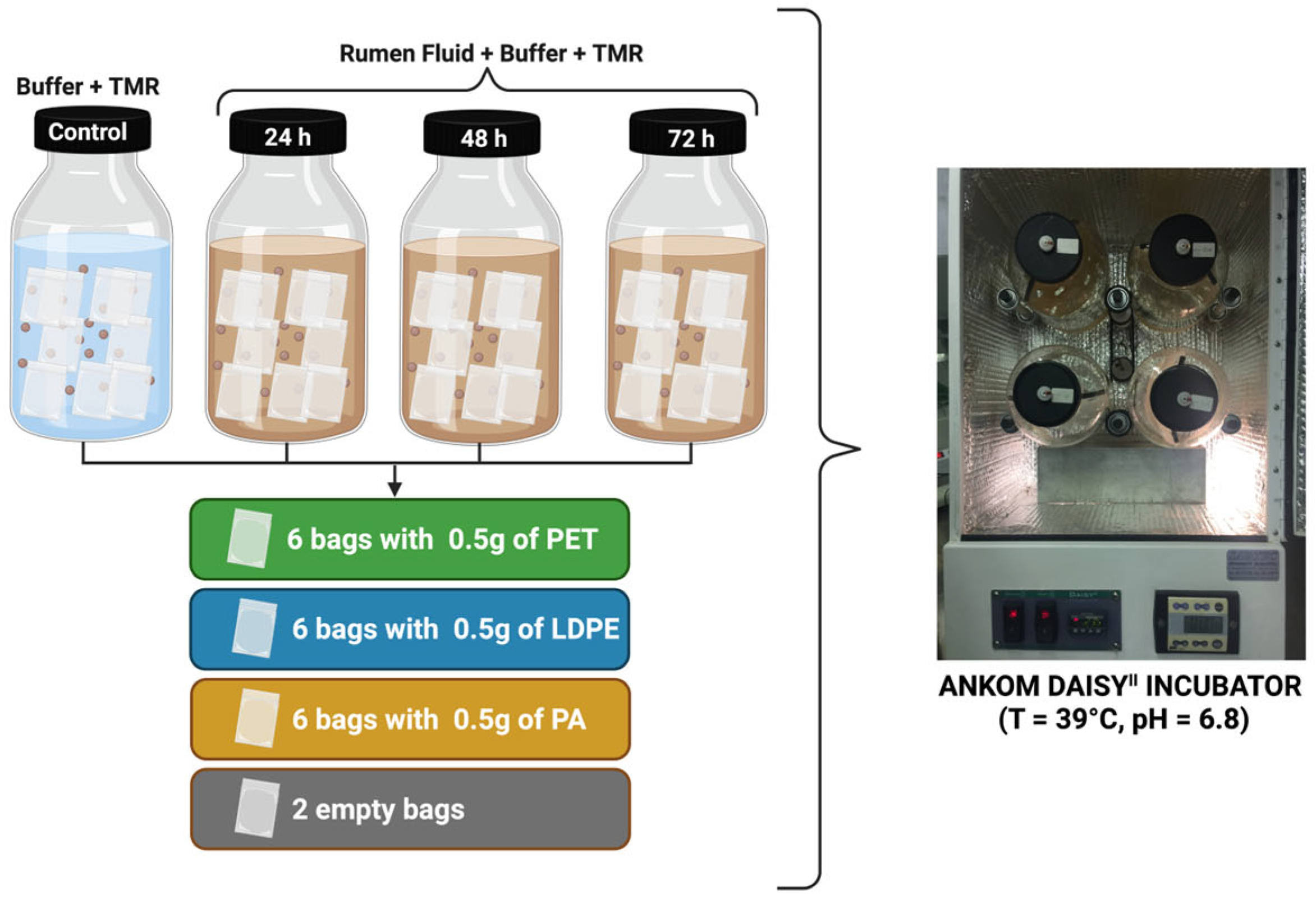 Fermentation 11 00445 g002