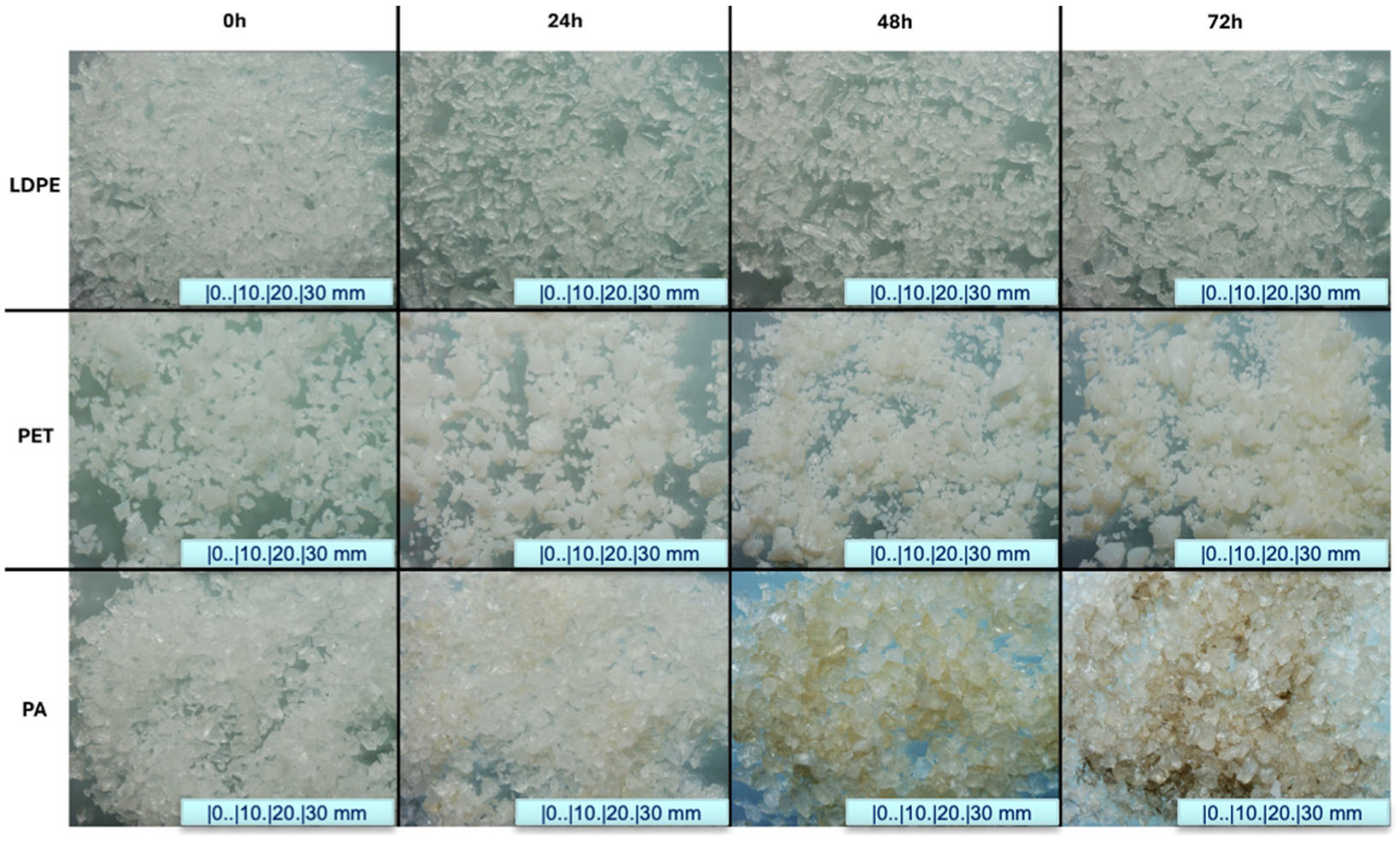 Fermentation 11 00445 g004
