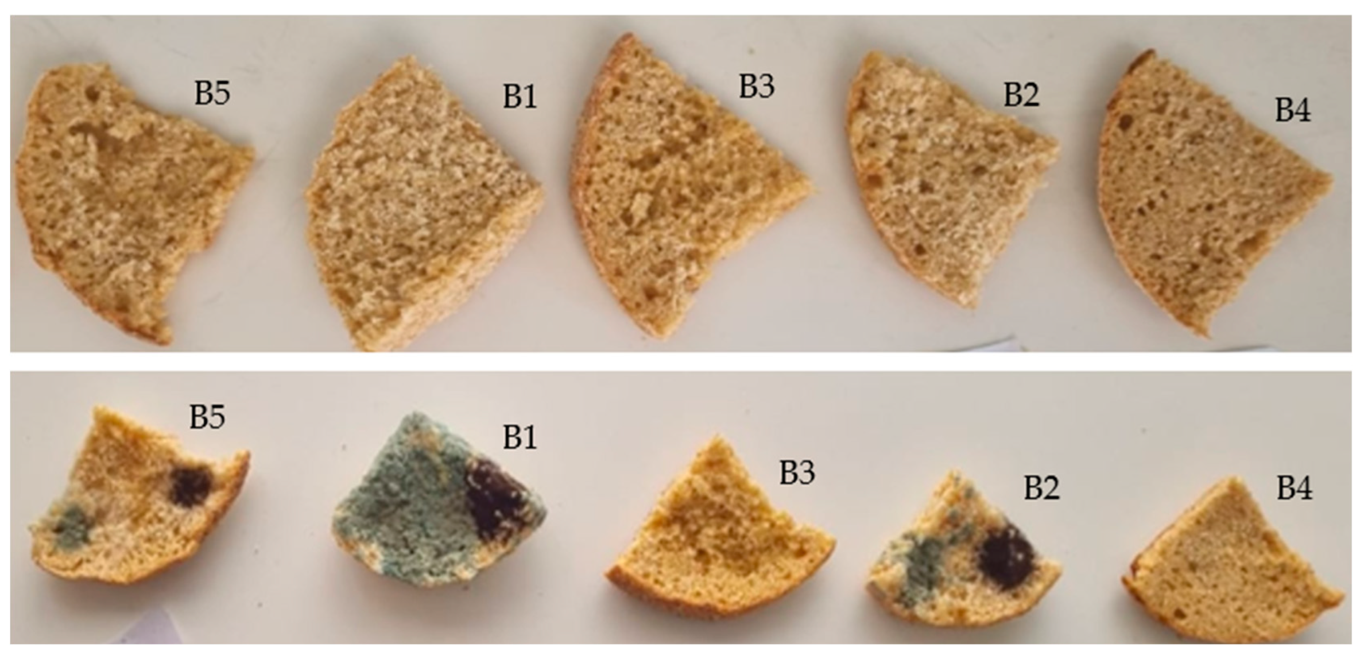 Fermentation 11 00449 g005