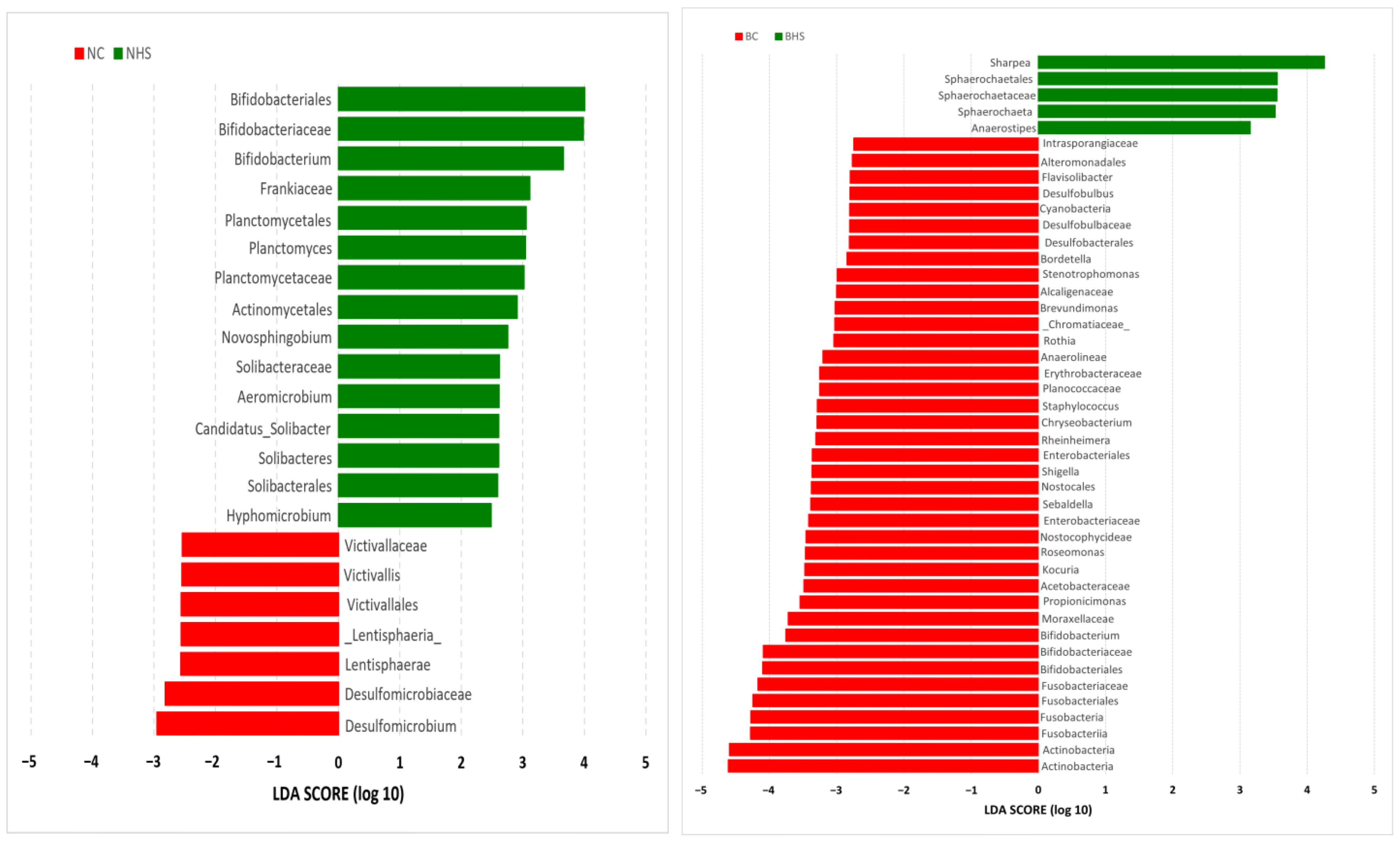 Fermentation 11 00450 g006