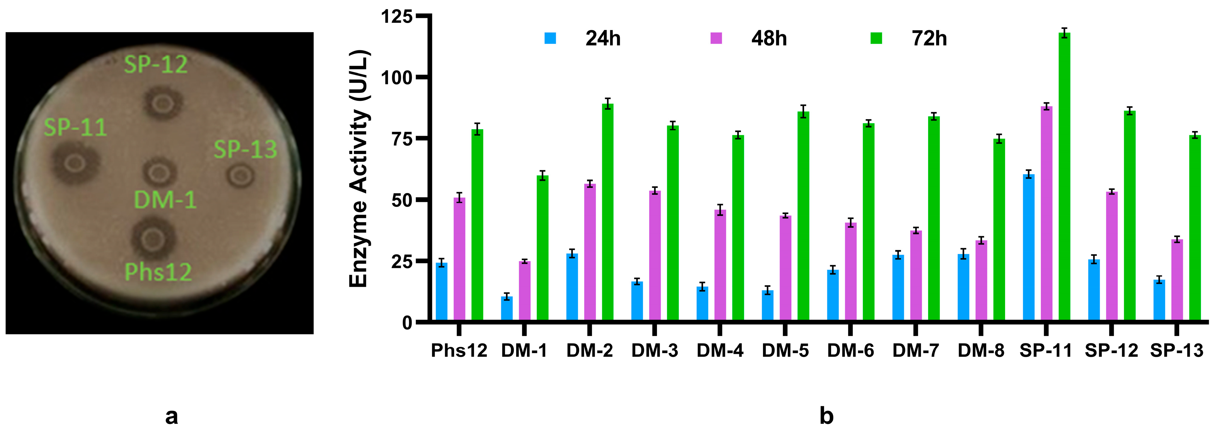 Fermentation 11 00452 g001