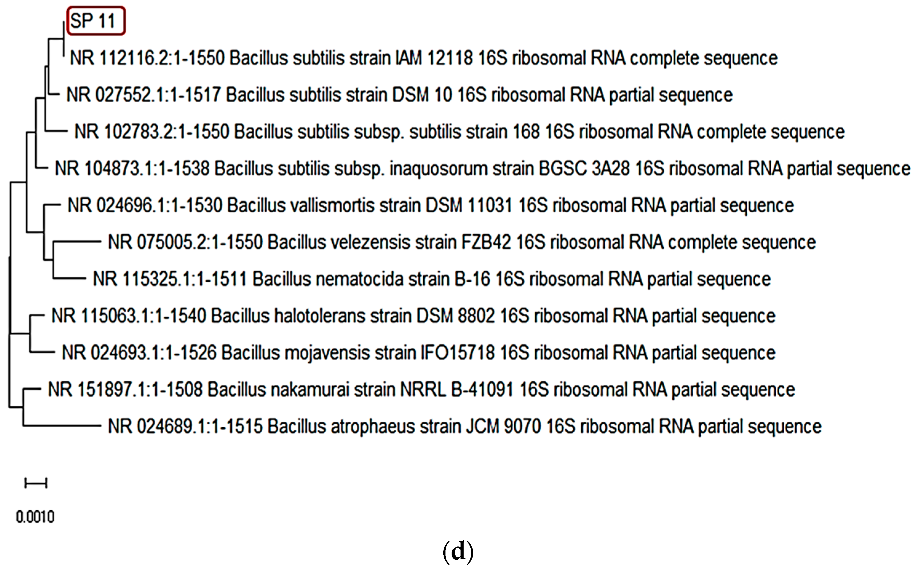 Fermentation 11 00452 g002b