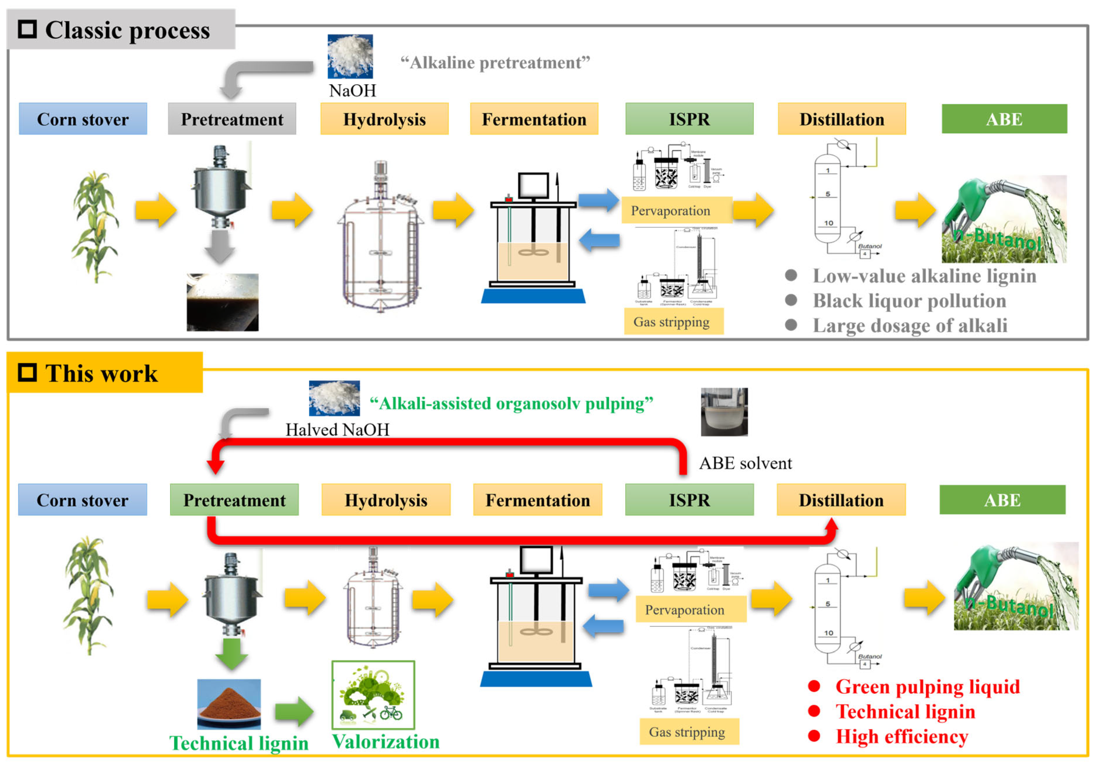 Fermentation 11 00453 g001