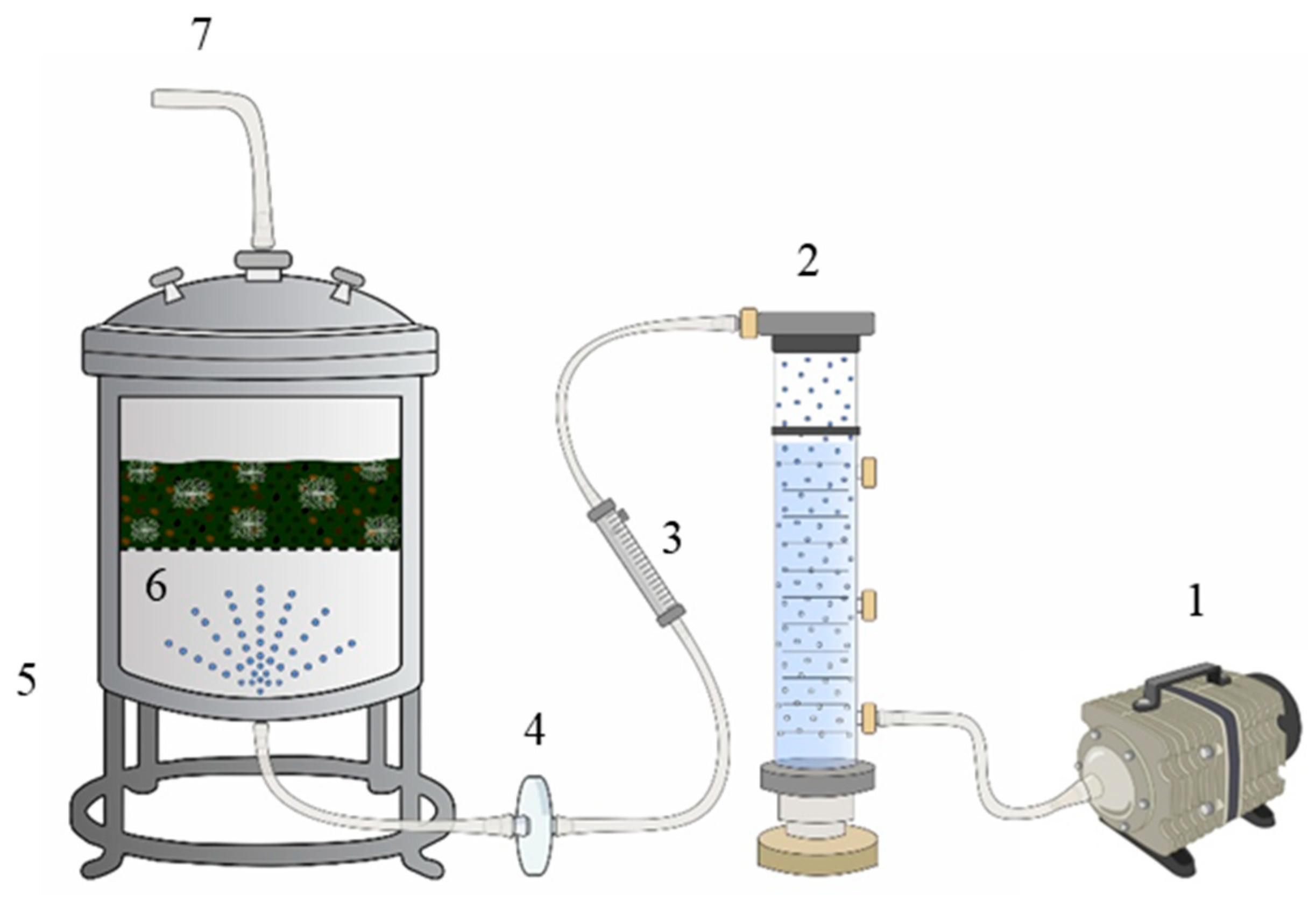 Fermentation 11 00456 g001