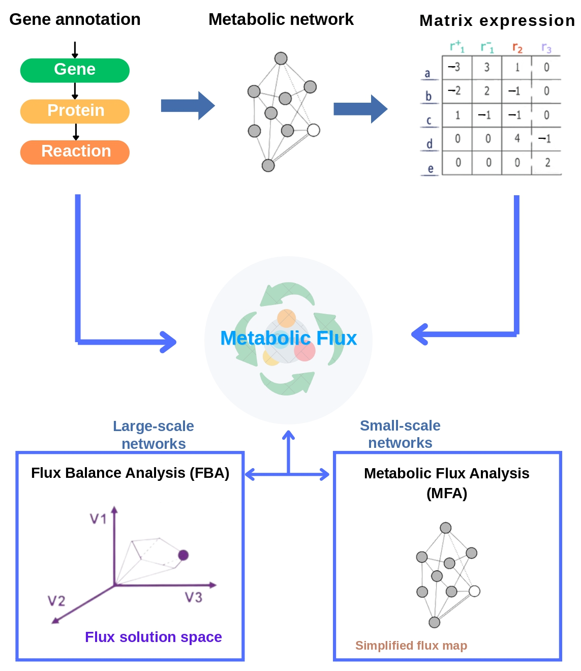 Fermentation 11 00458 g003 Fermentation 11 00458 g003