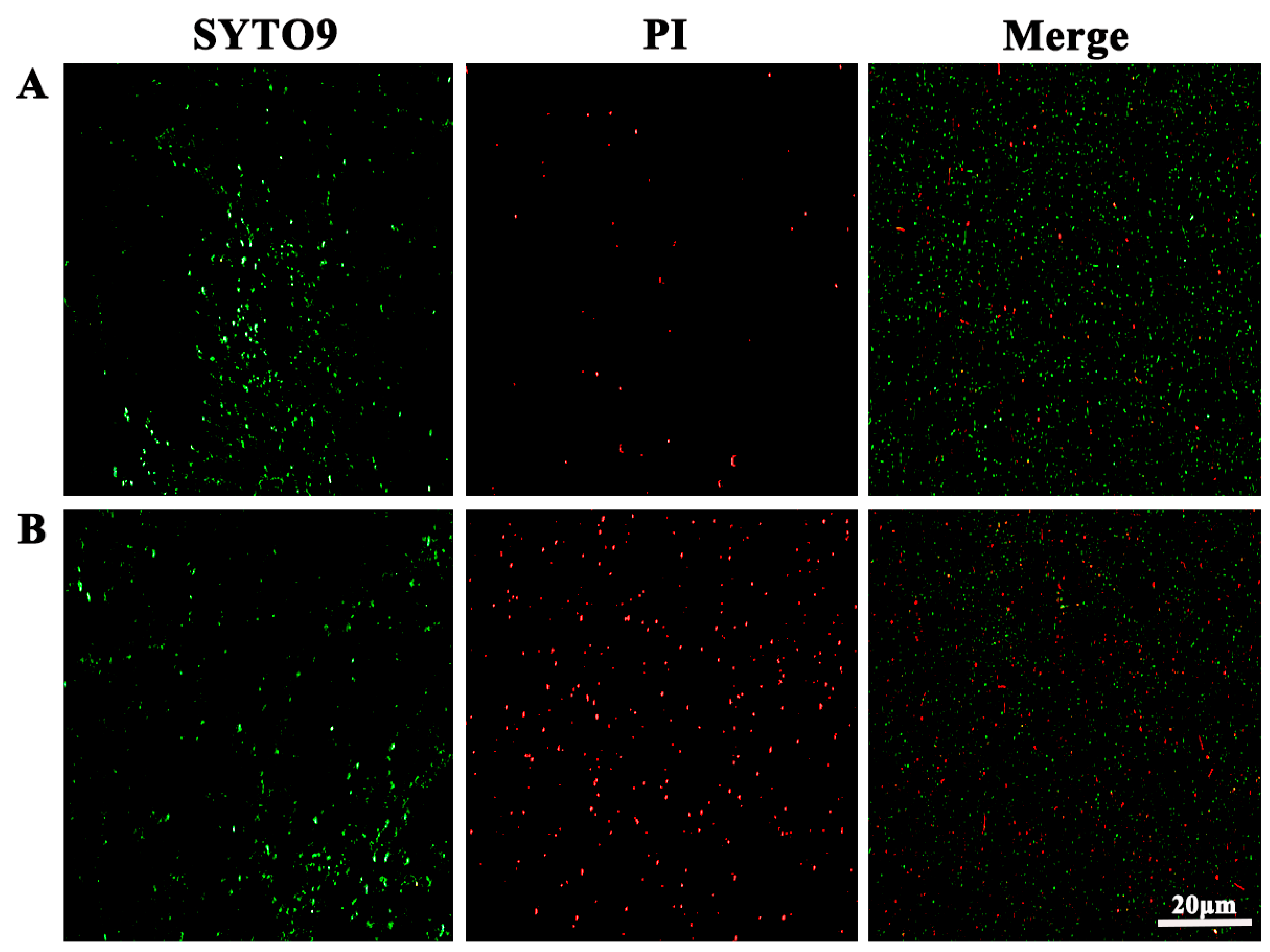 Fermentation 11 00460 g008 Fermentation 11 00460 g008