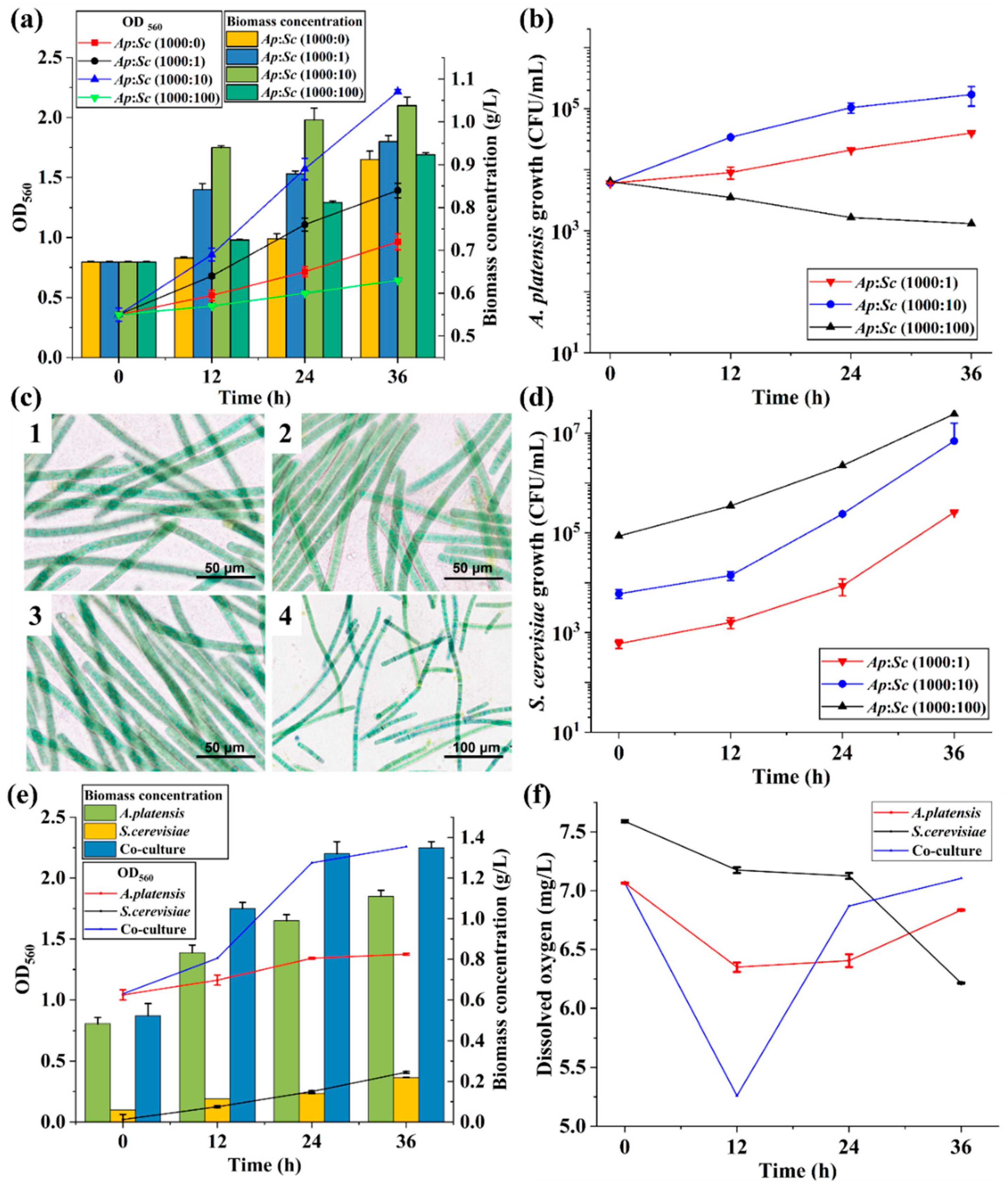 Fermentation 11 00462 g001