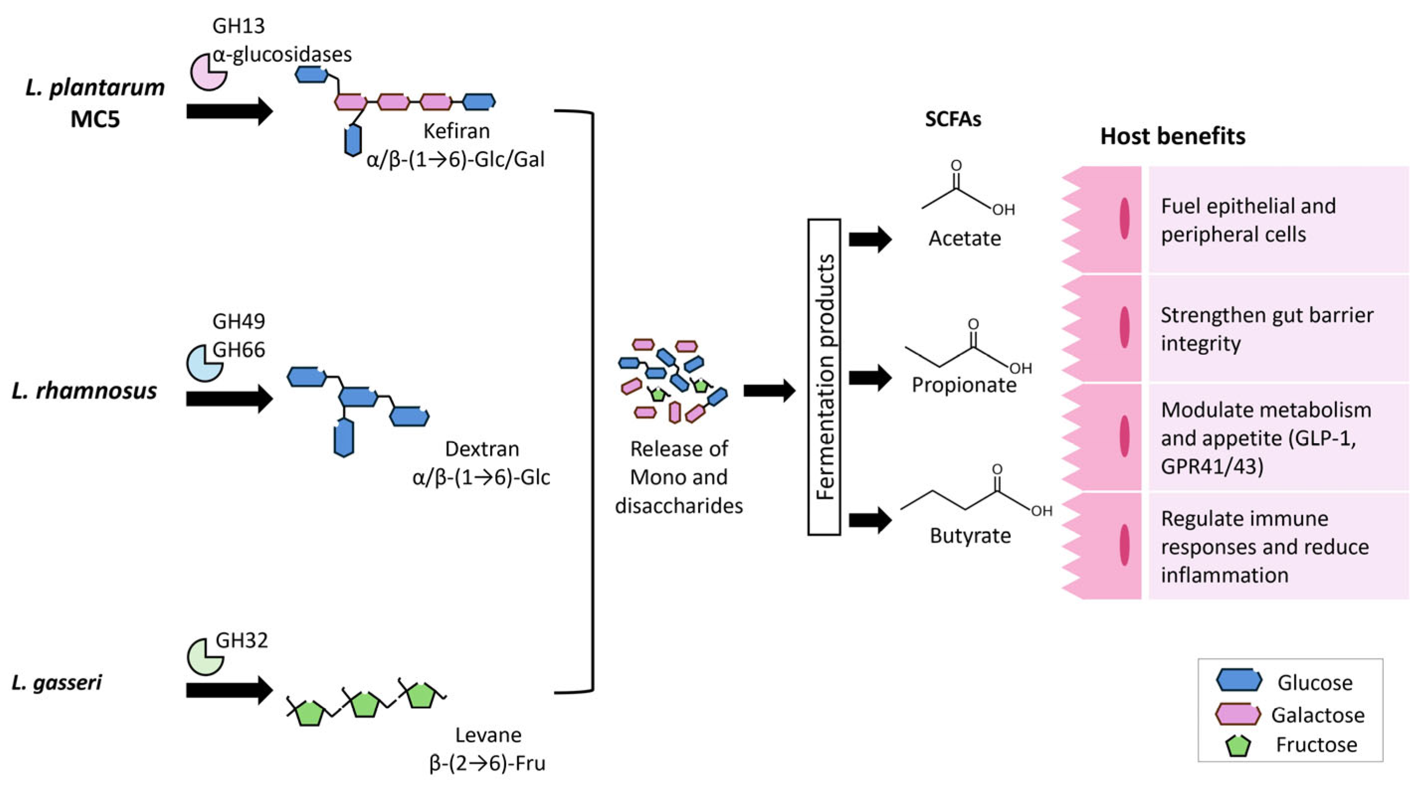 Fermentation 11 00463 g006