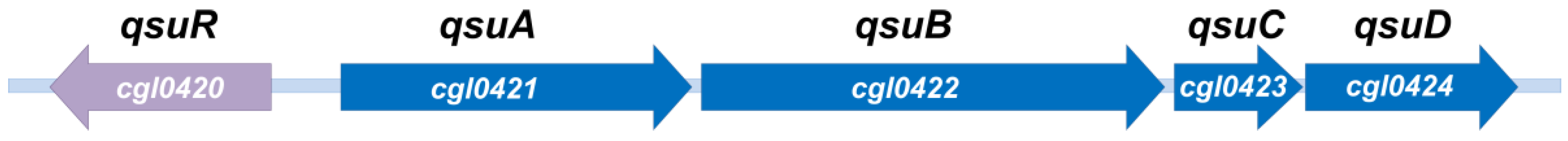 Fermentation 11 00464 g007