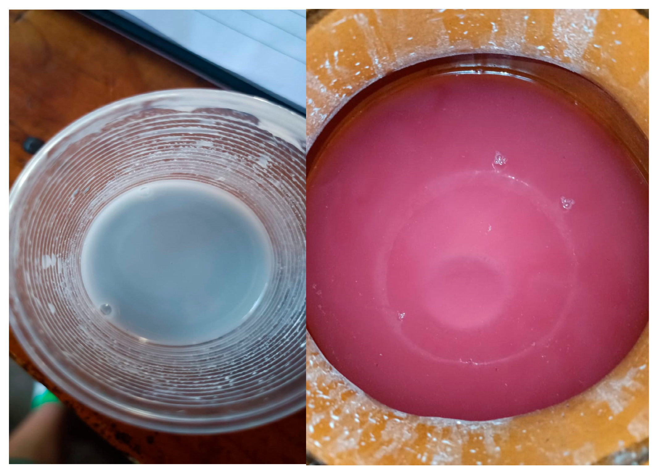 Fermentation 11 00474 g002