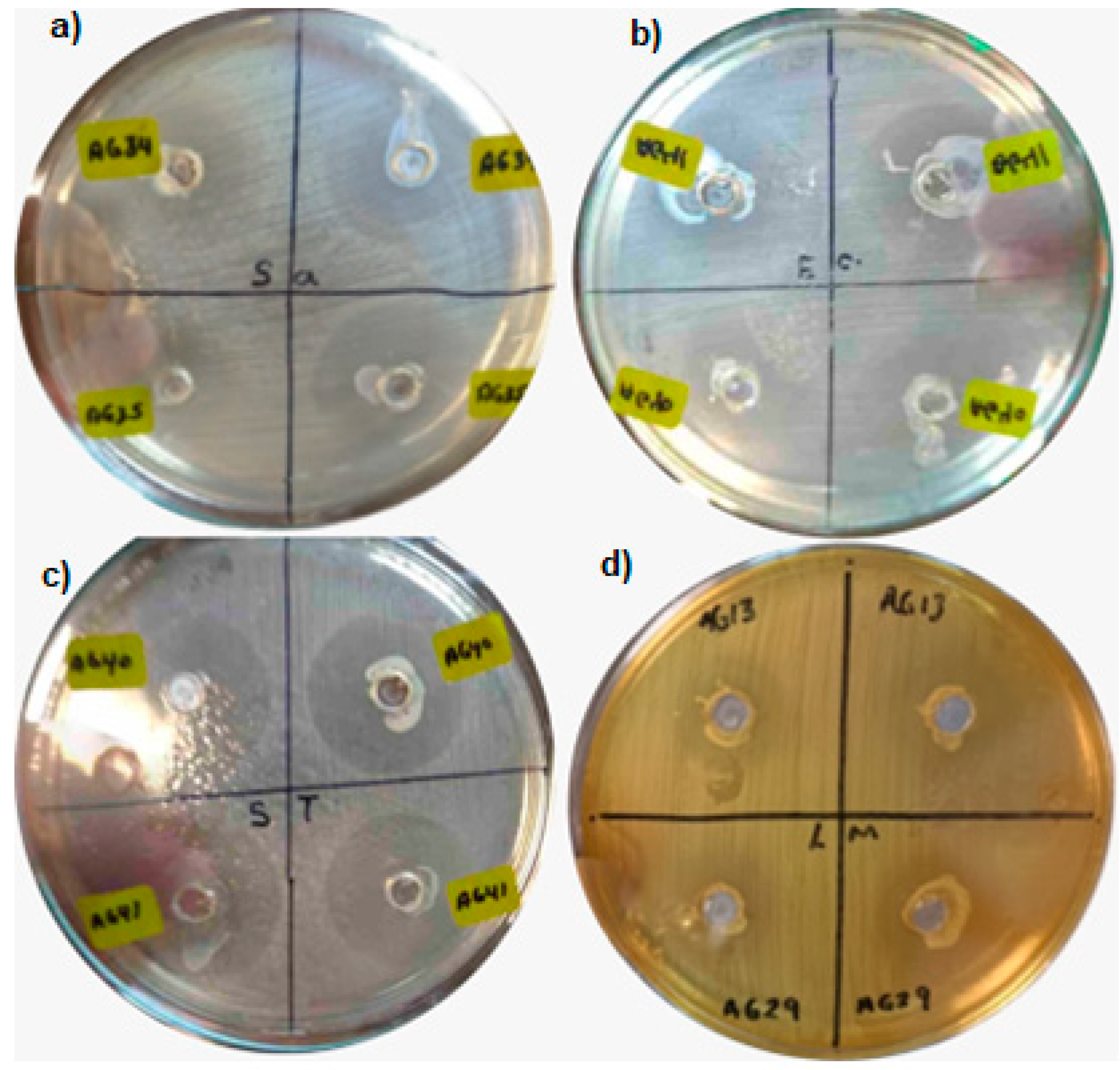 Fermentation 11 00474 g009