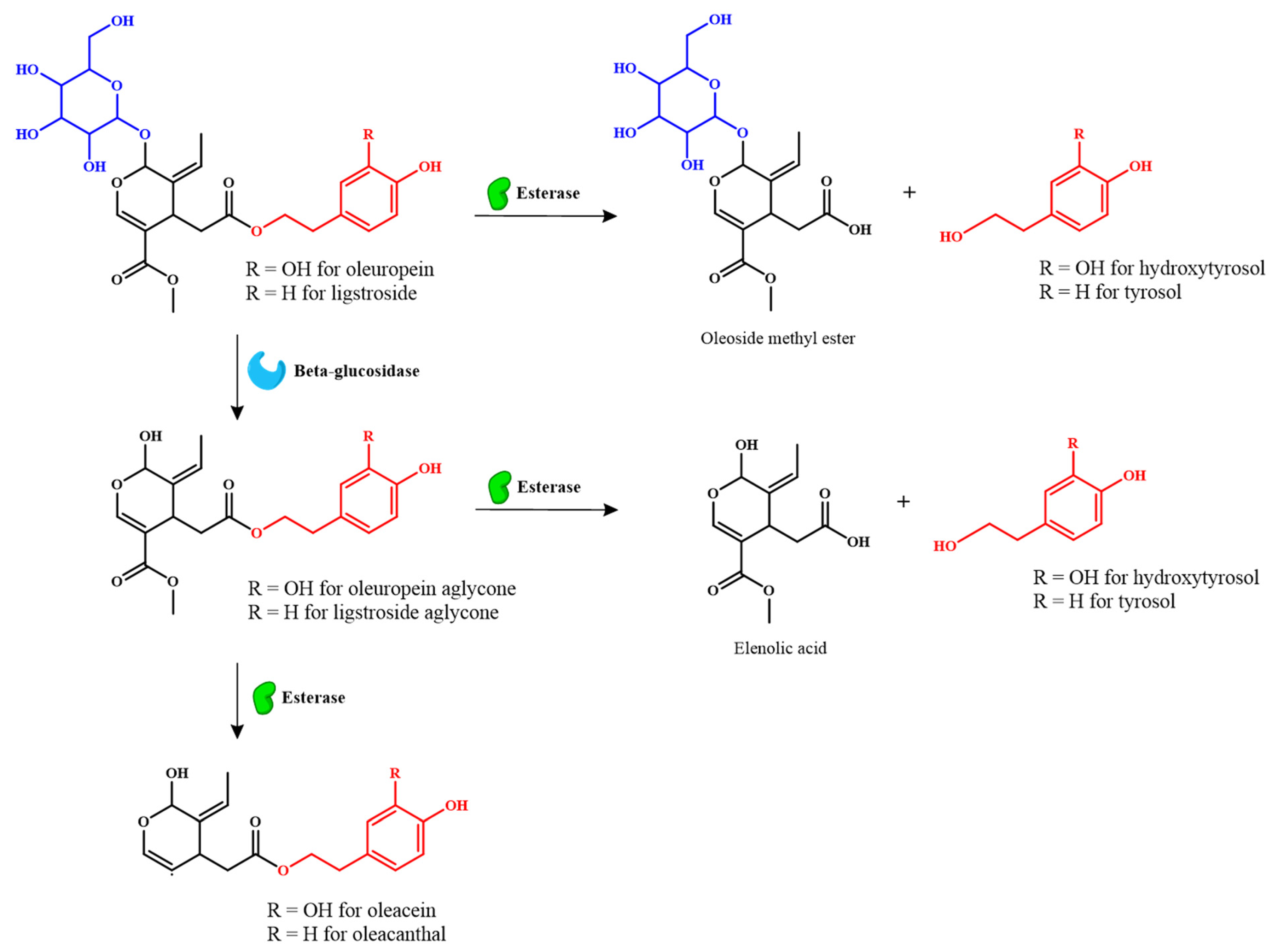 Fermentation 11 00477 g003